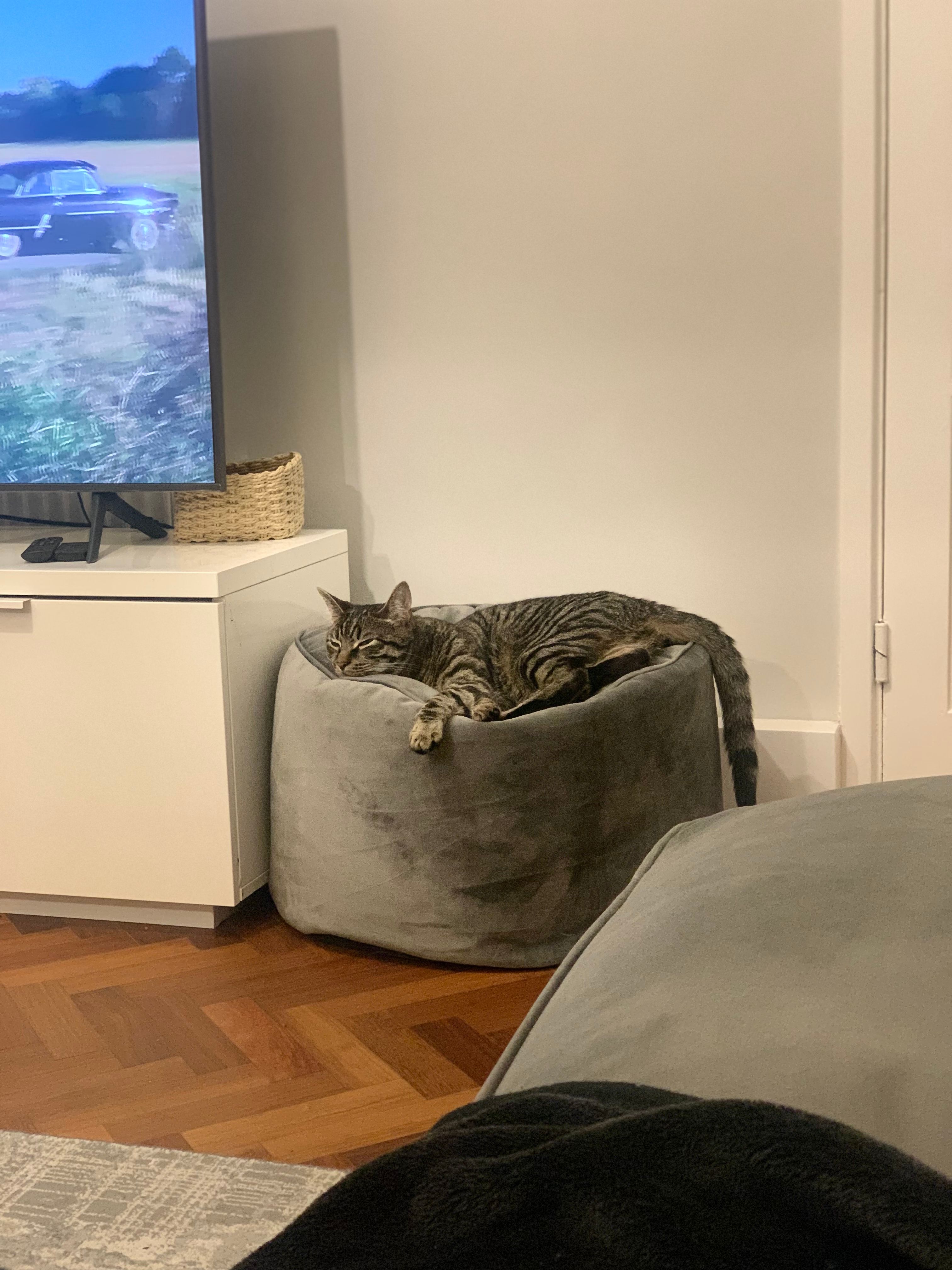 image-10