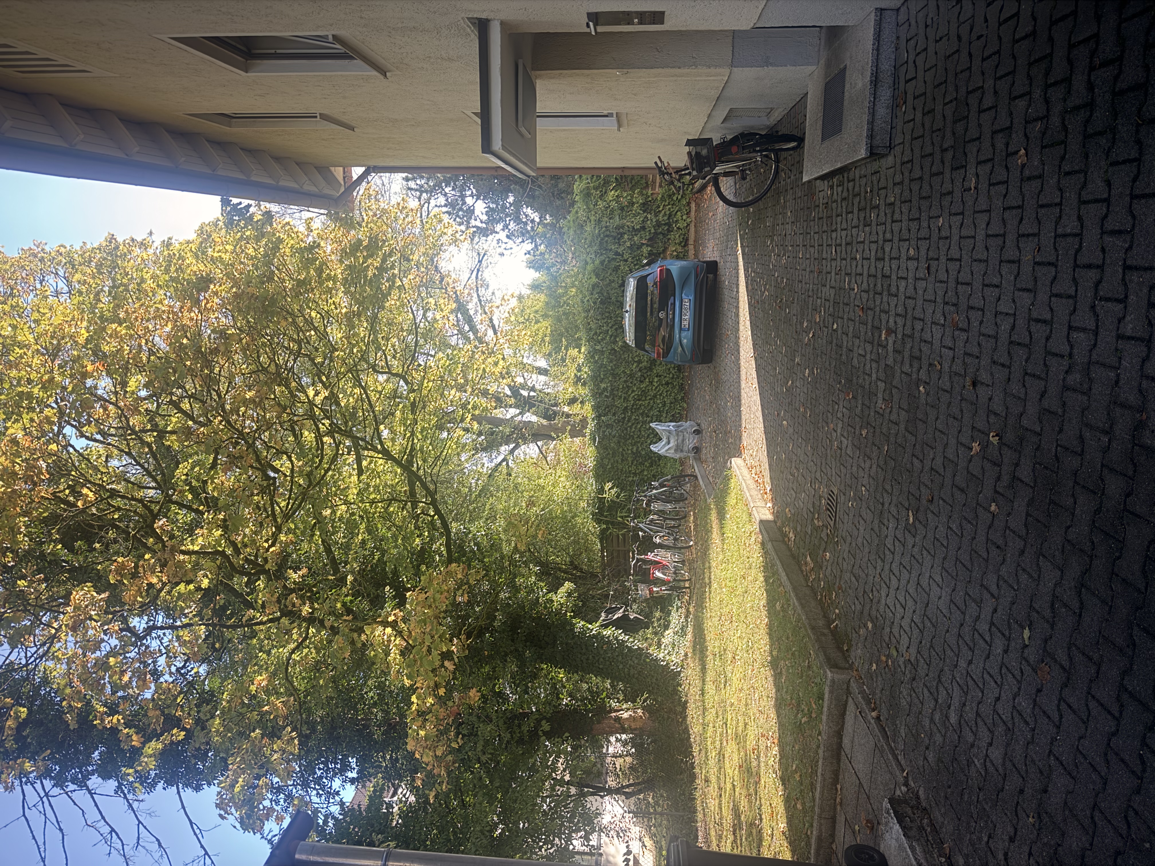 image-14