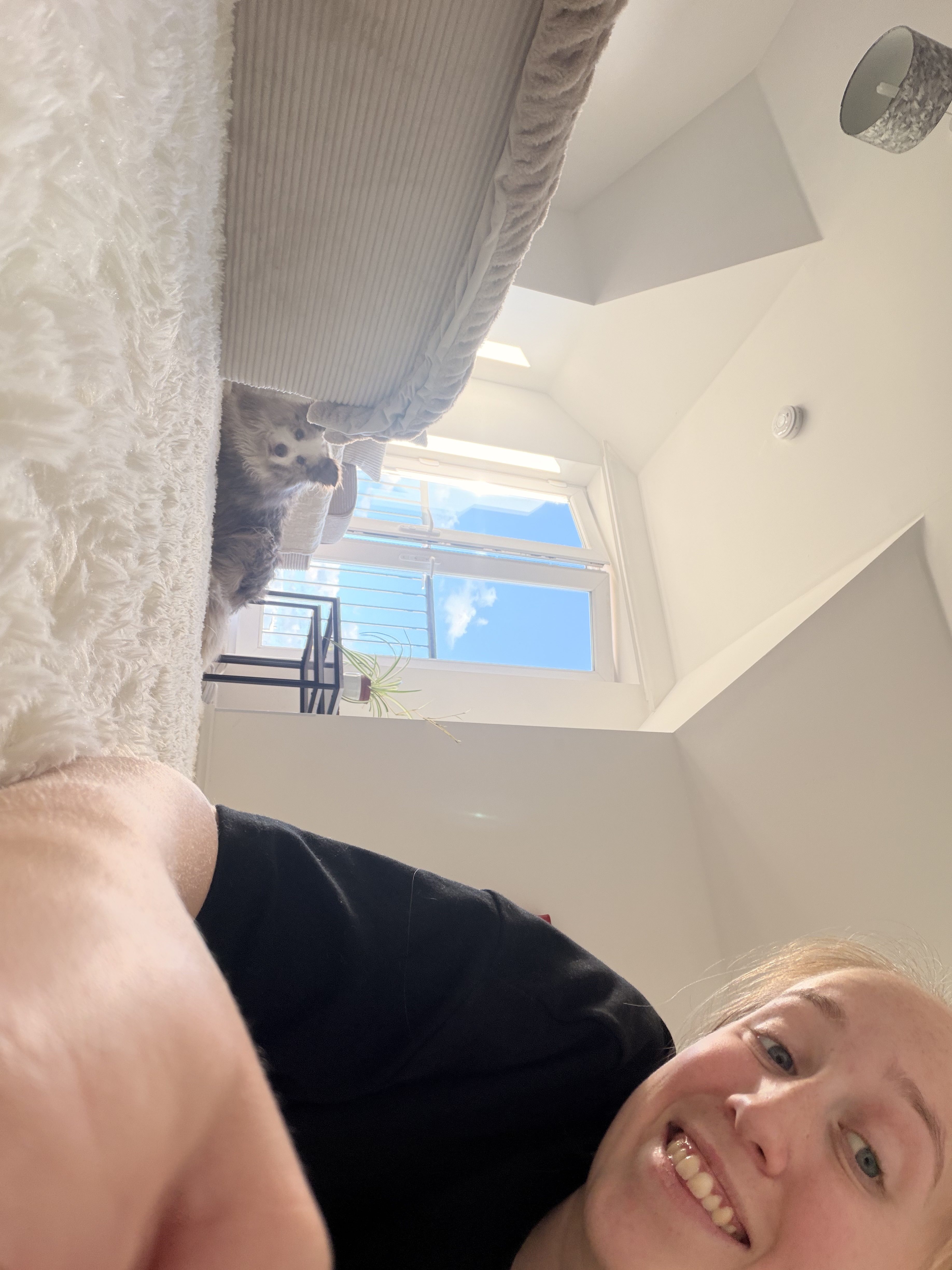 image-15