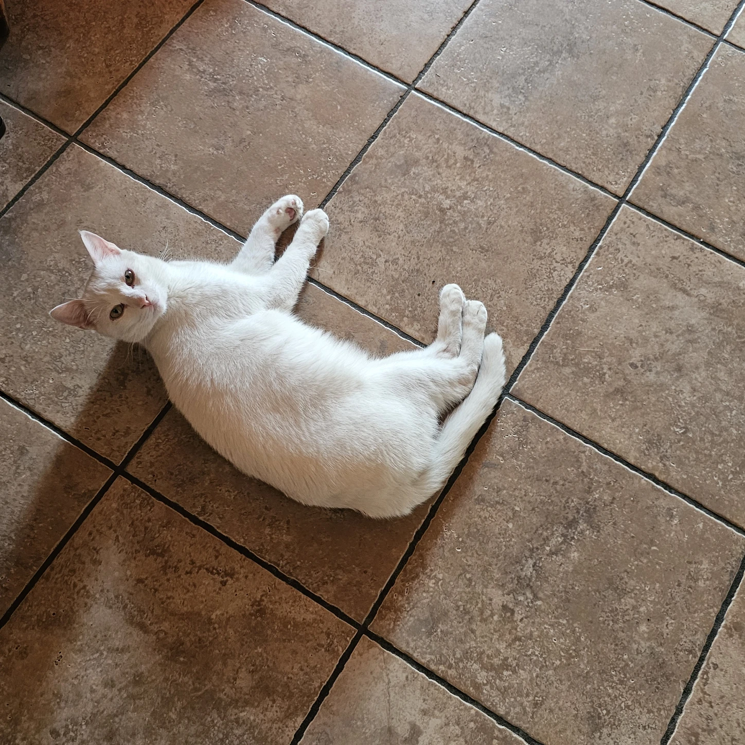 image-11