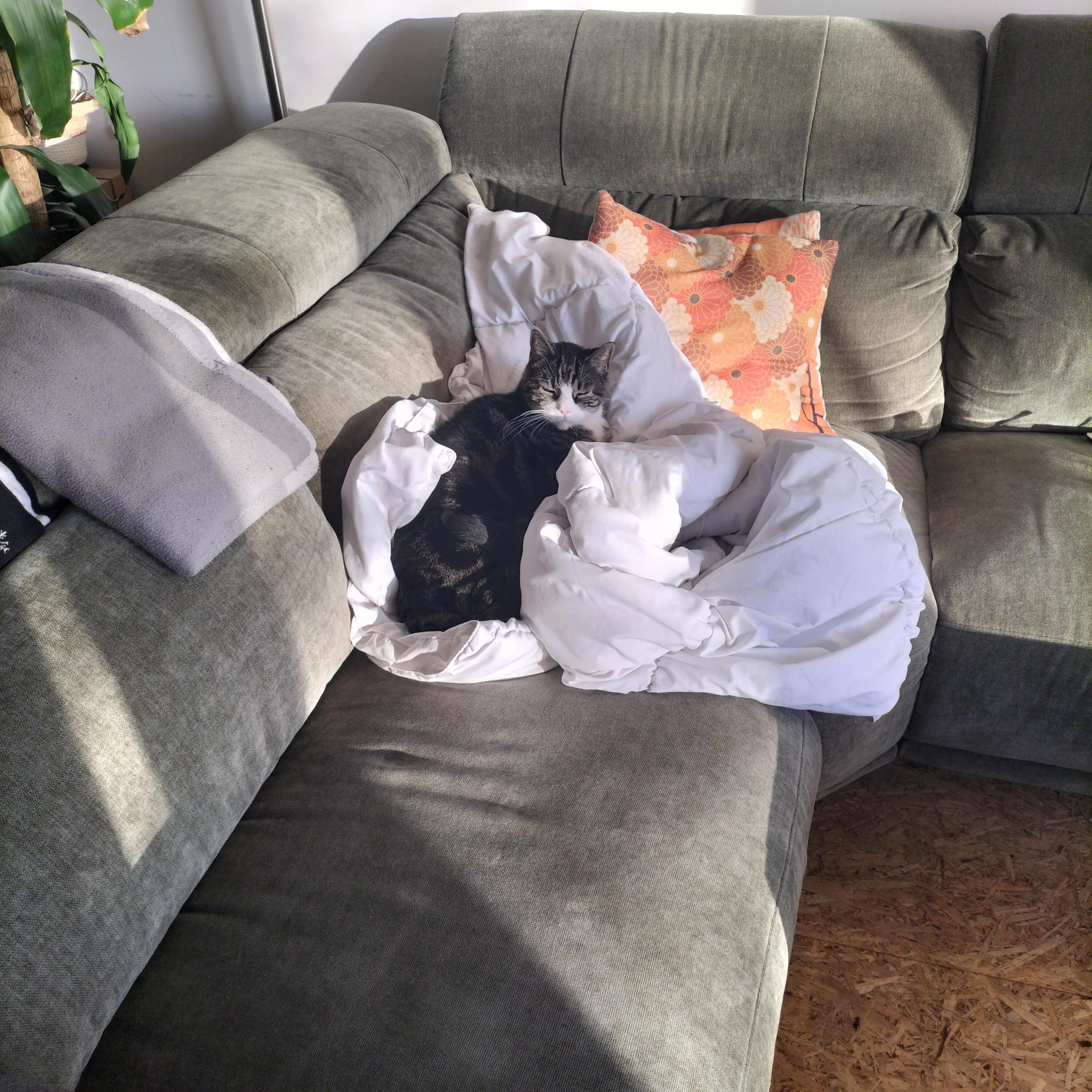 image-8