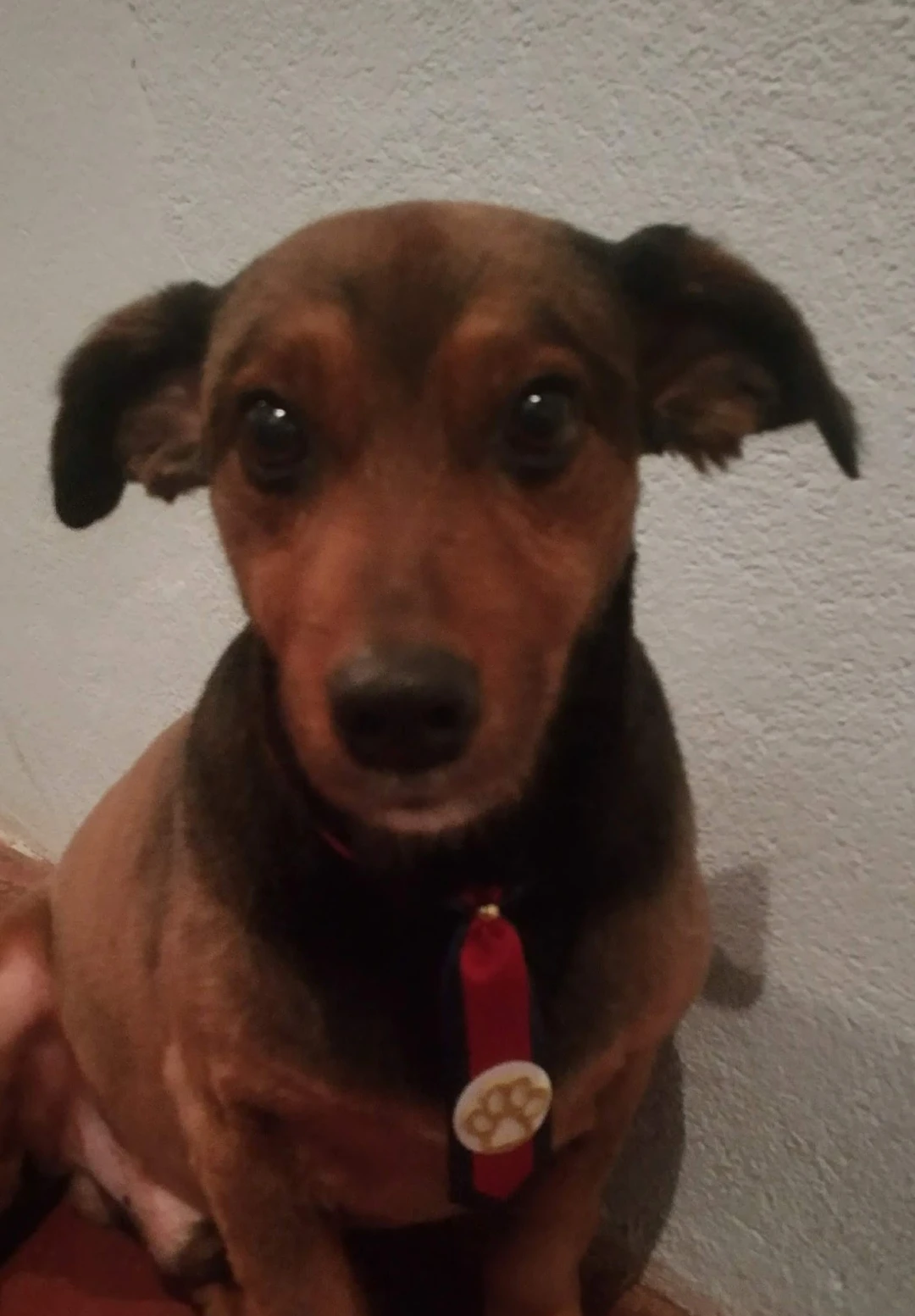 image-7