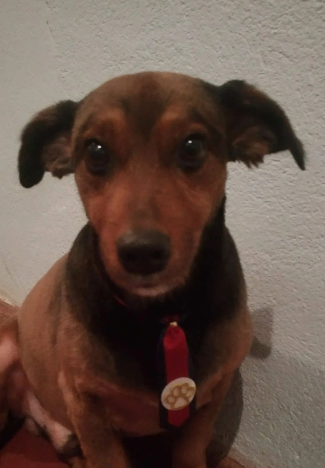 image-7