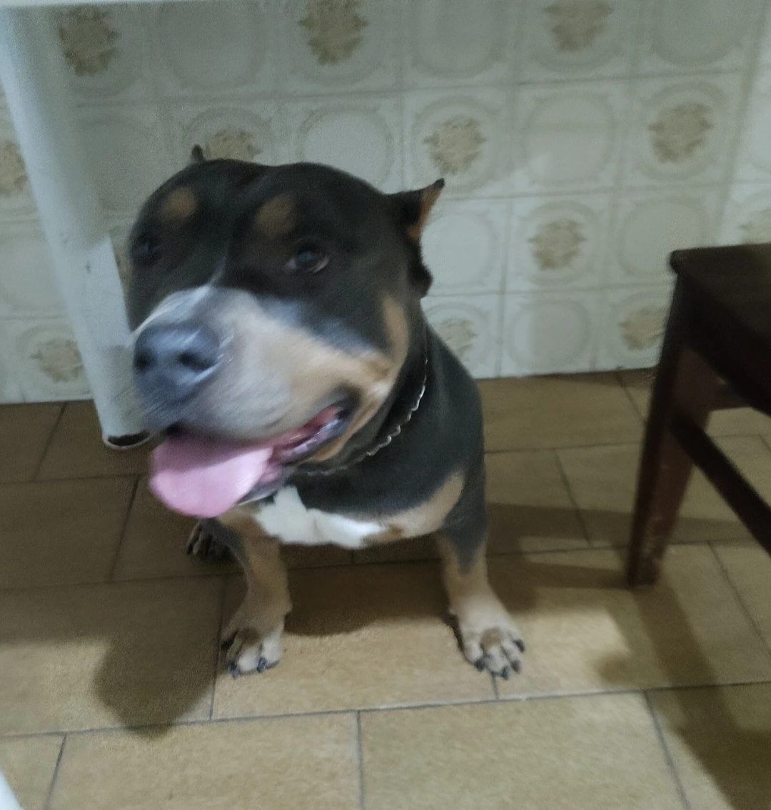 image-6