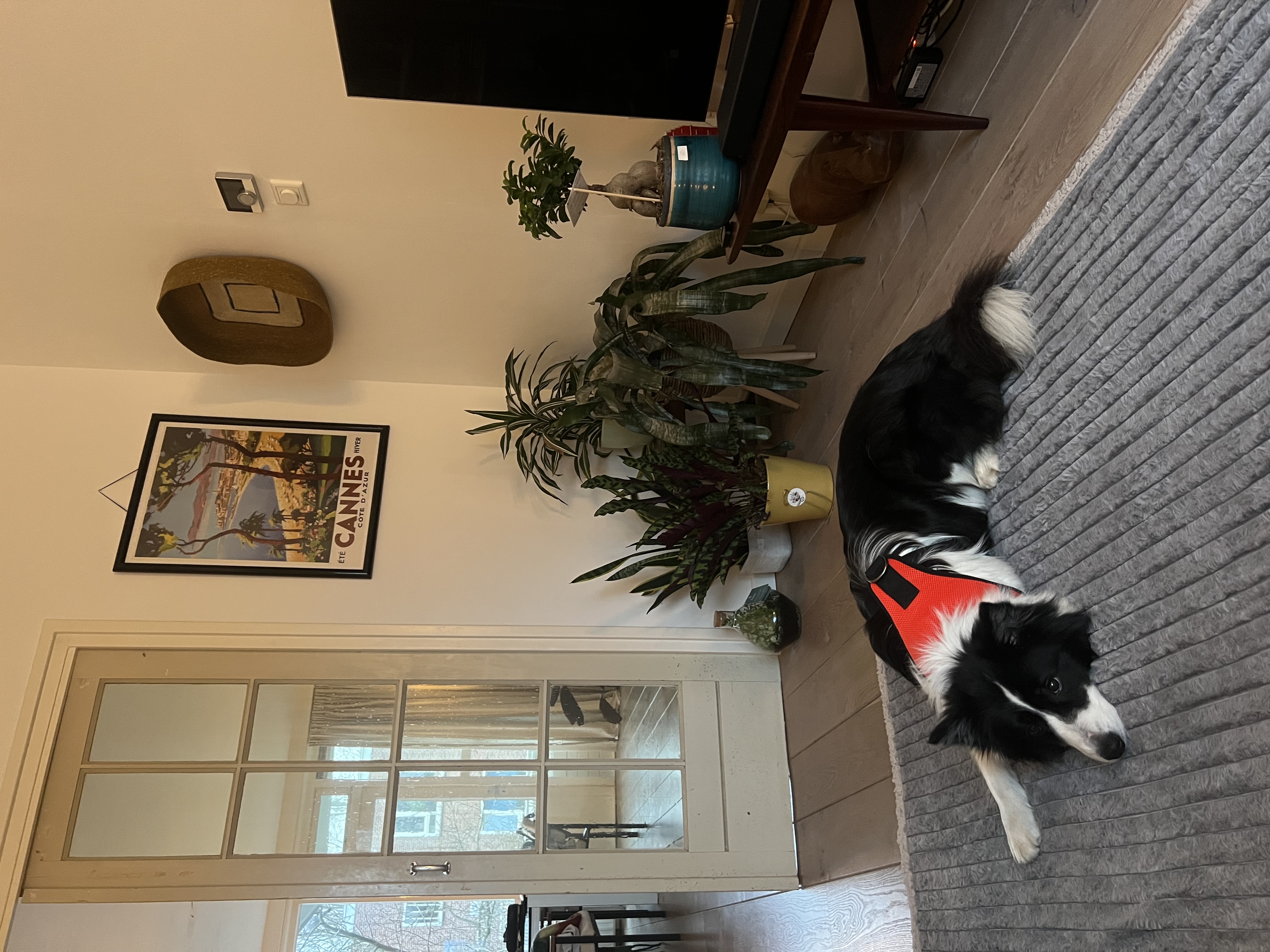 image-17