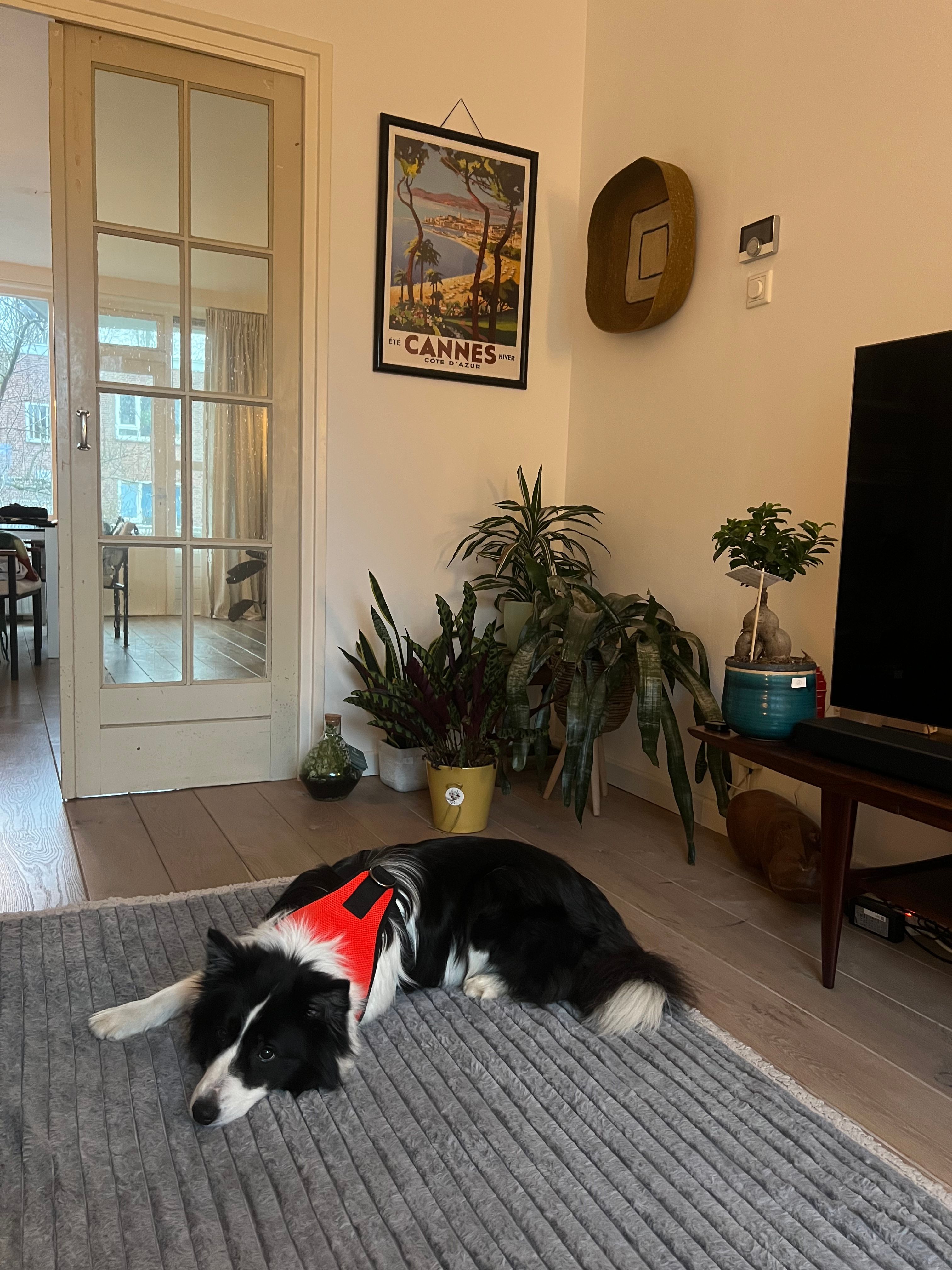 image-17