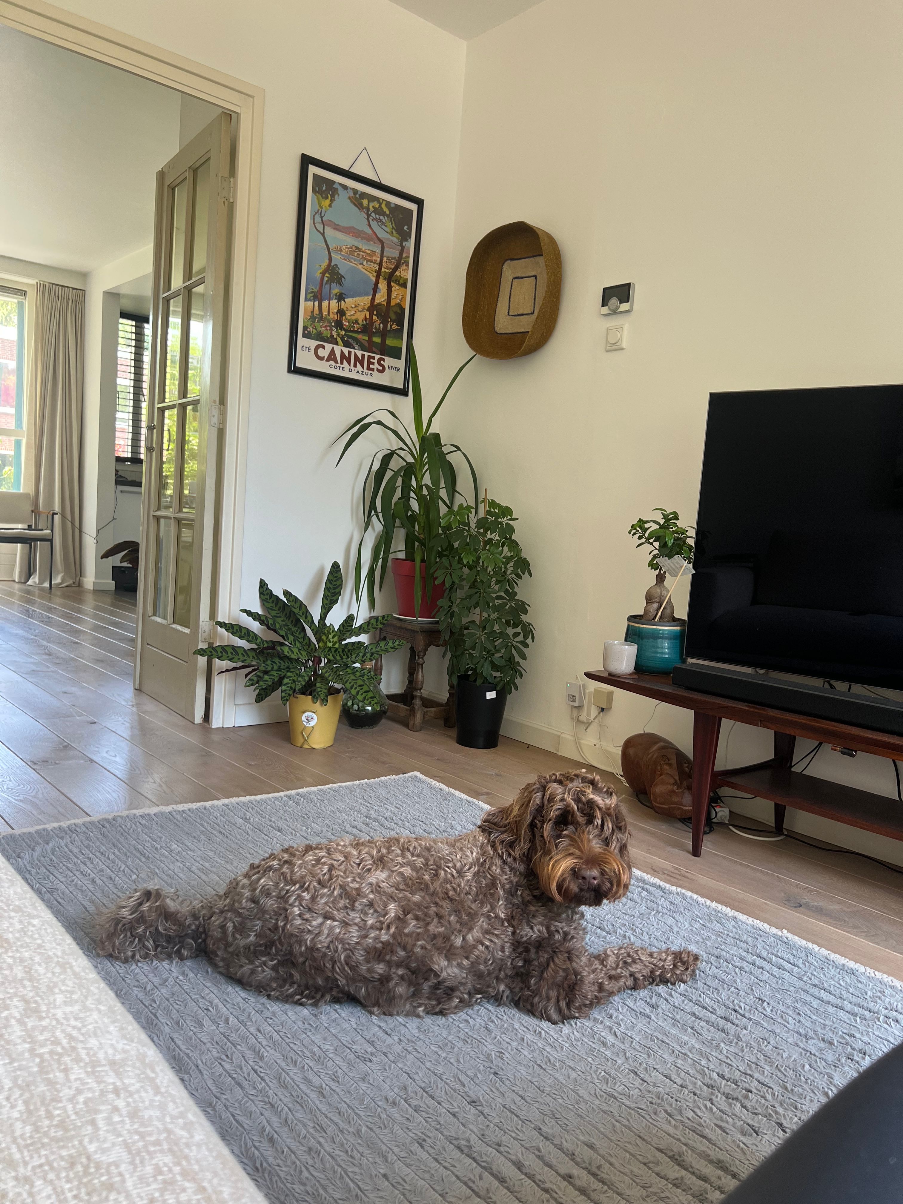 image-20