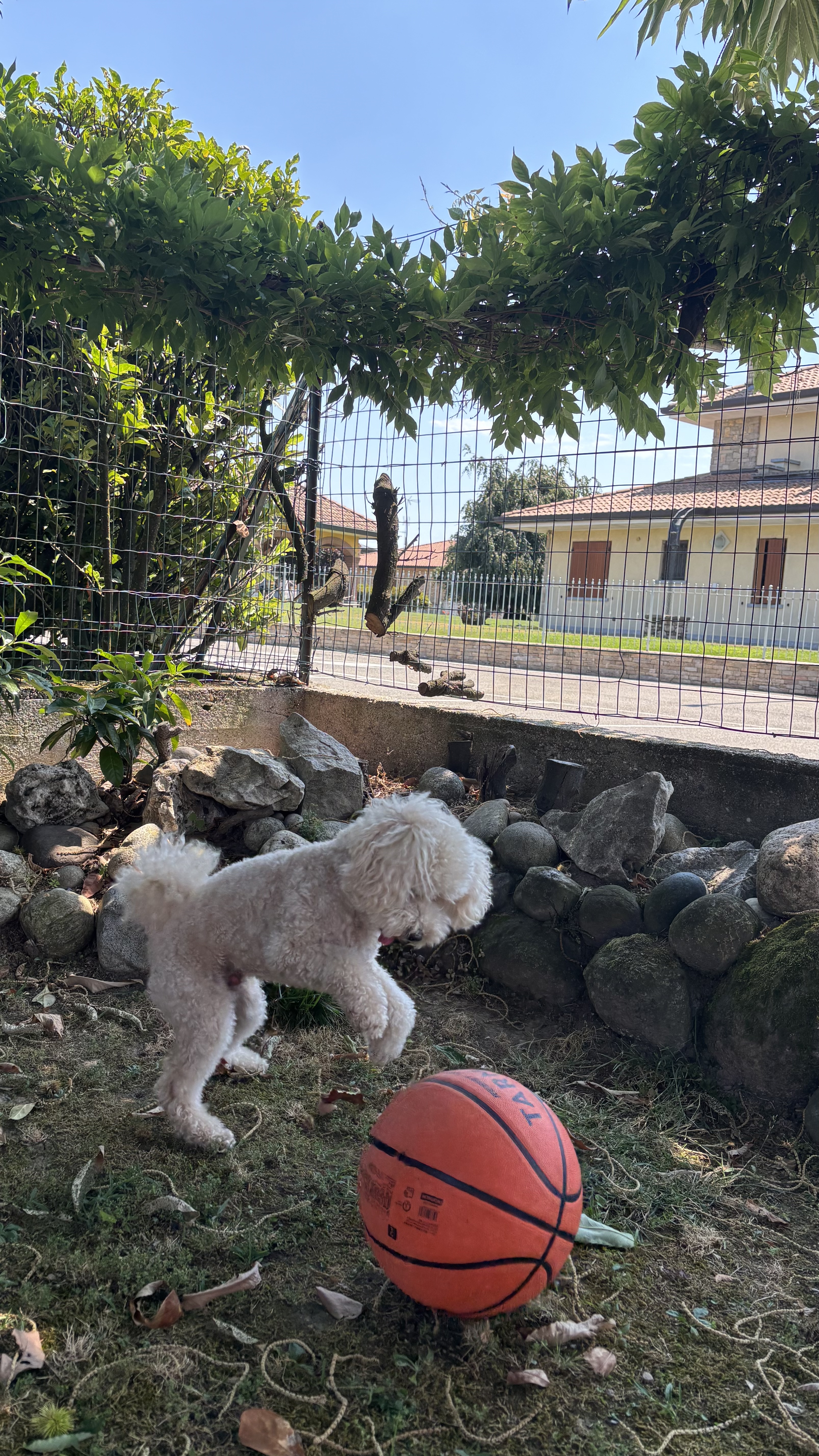 image-20