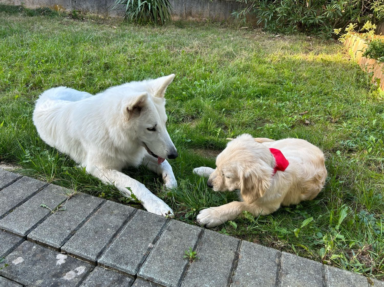 image-4