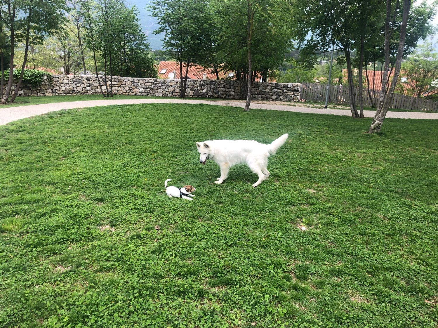 image-5