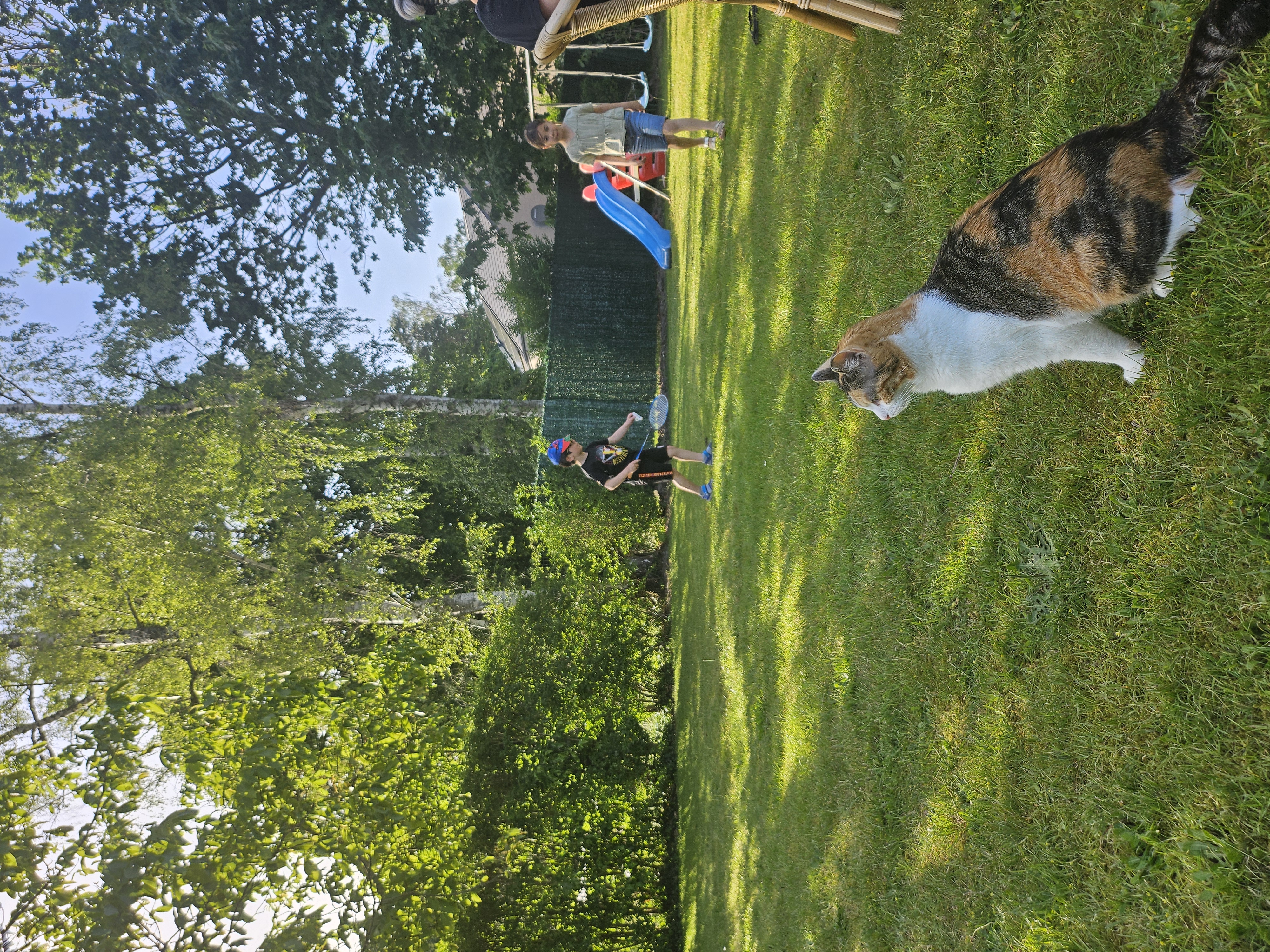 image-13