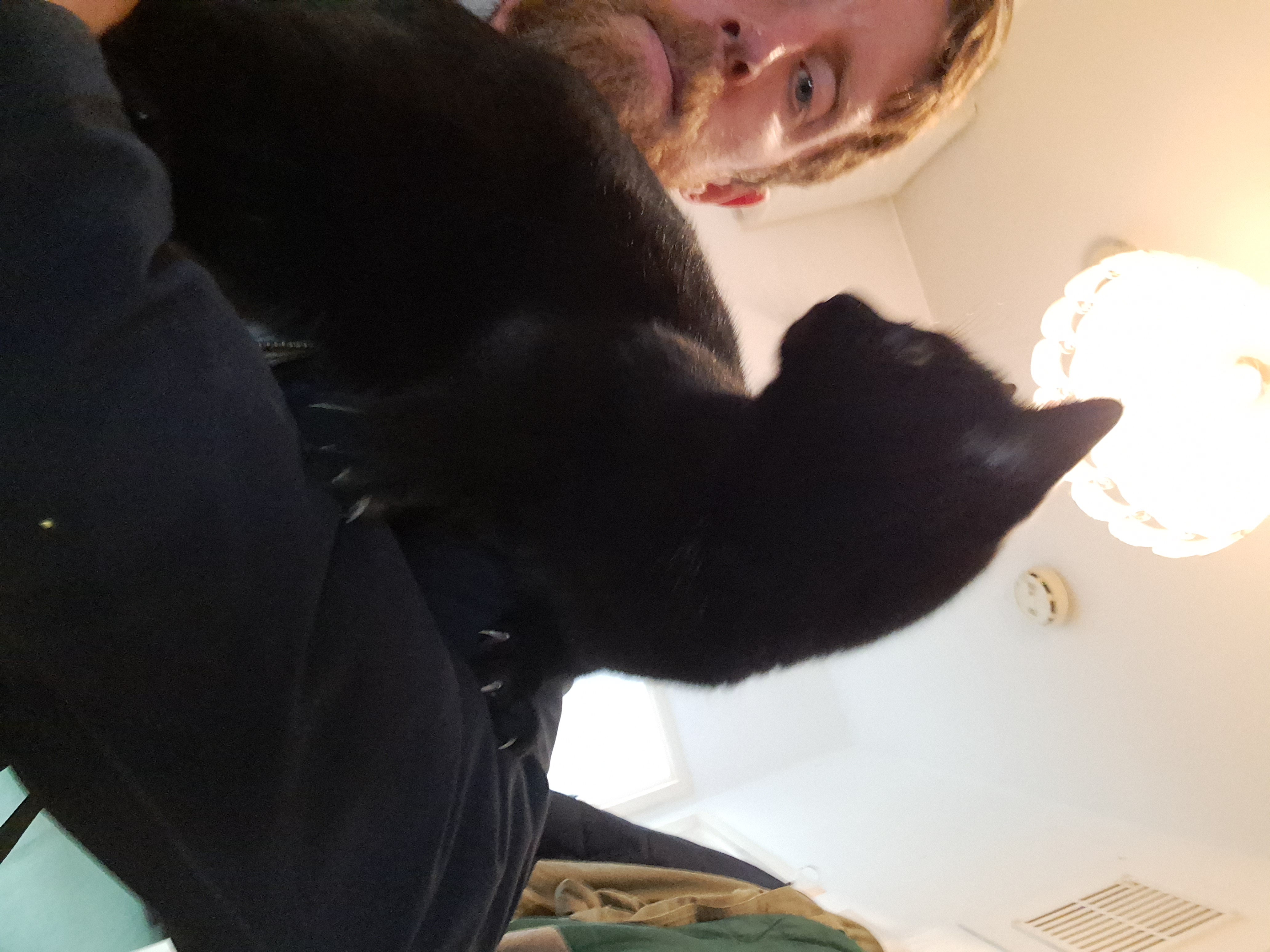 image-7