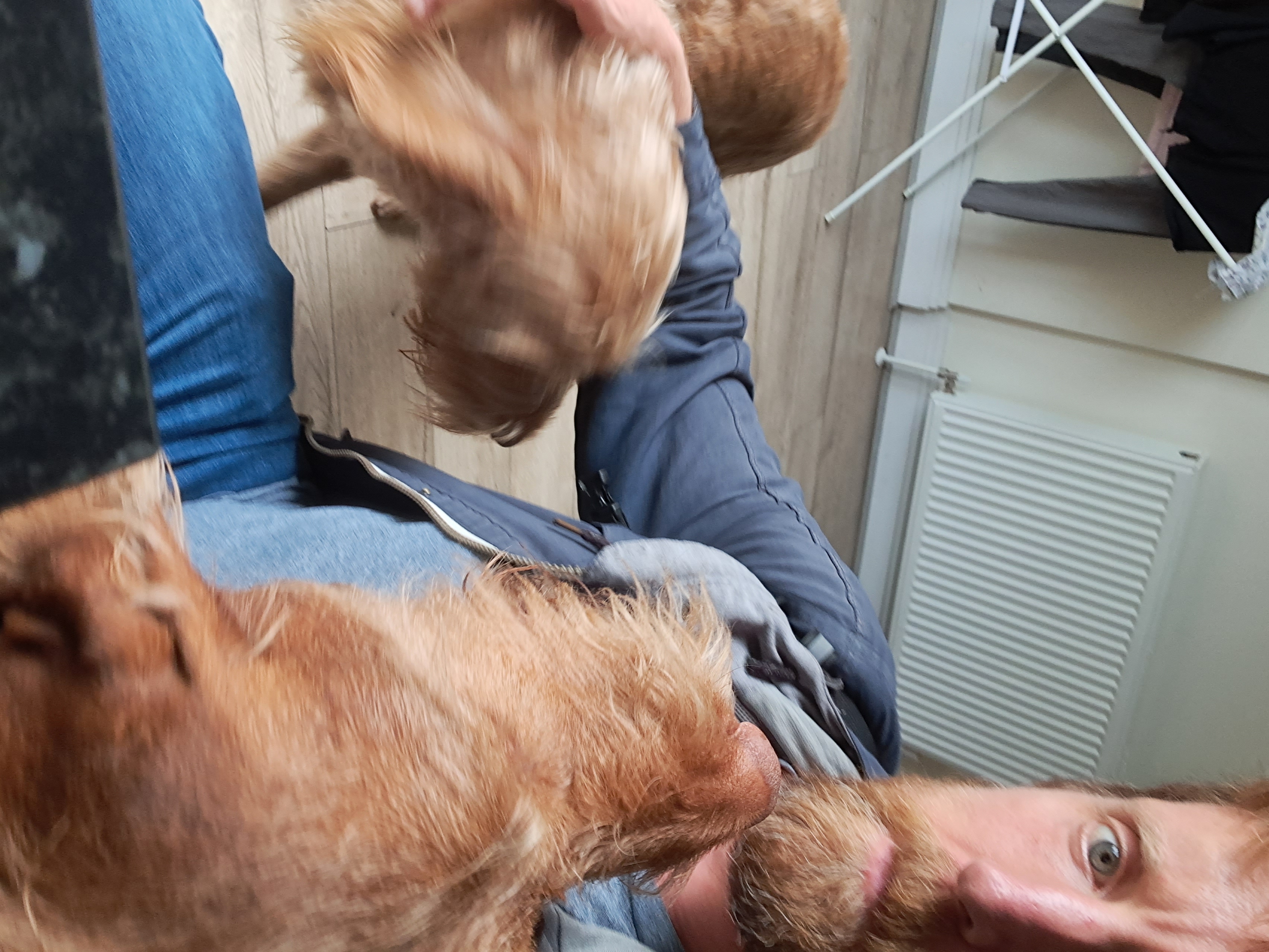image-8