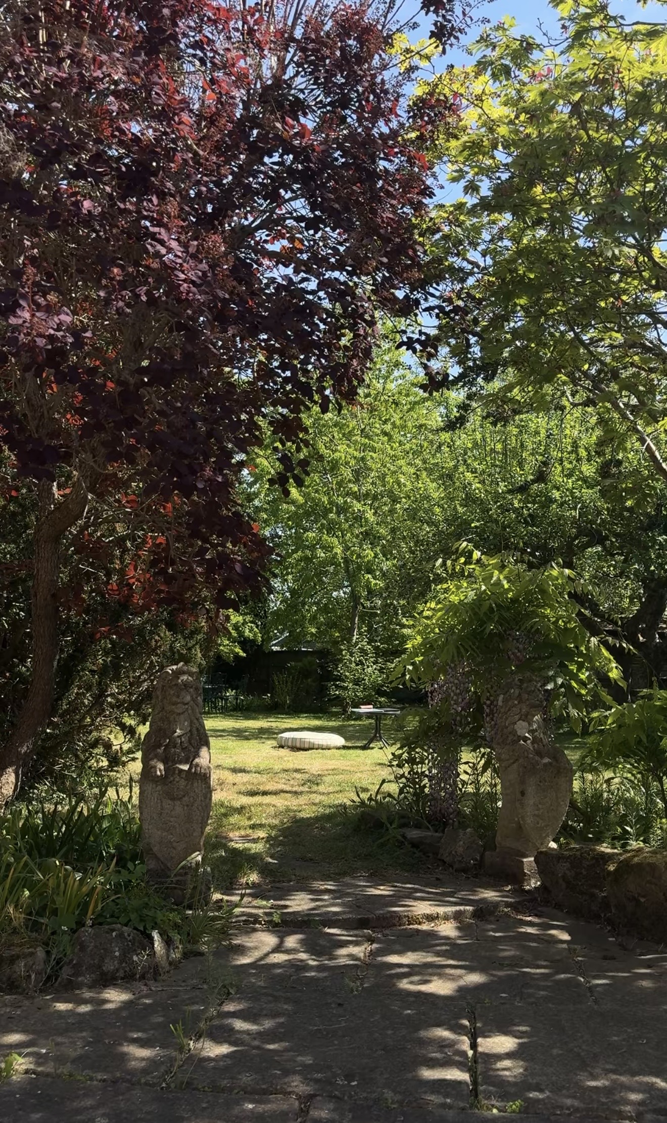 image-20