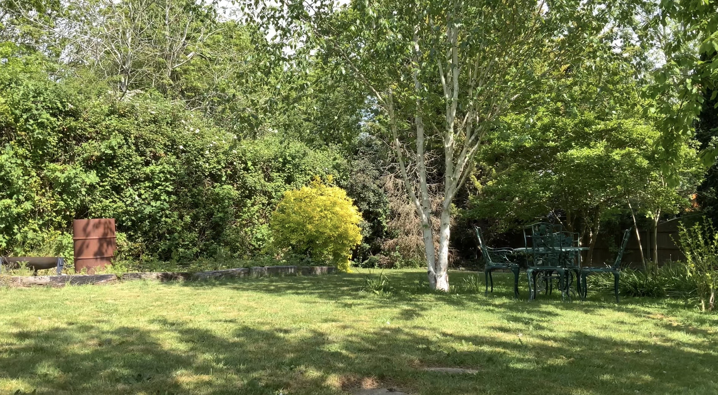 image-19