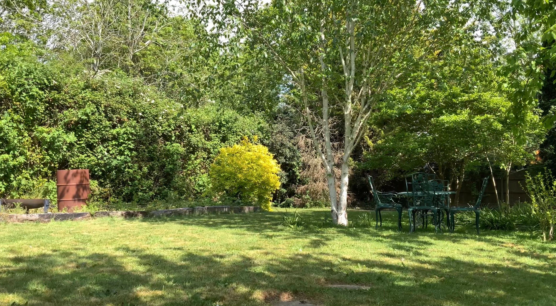 image-19