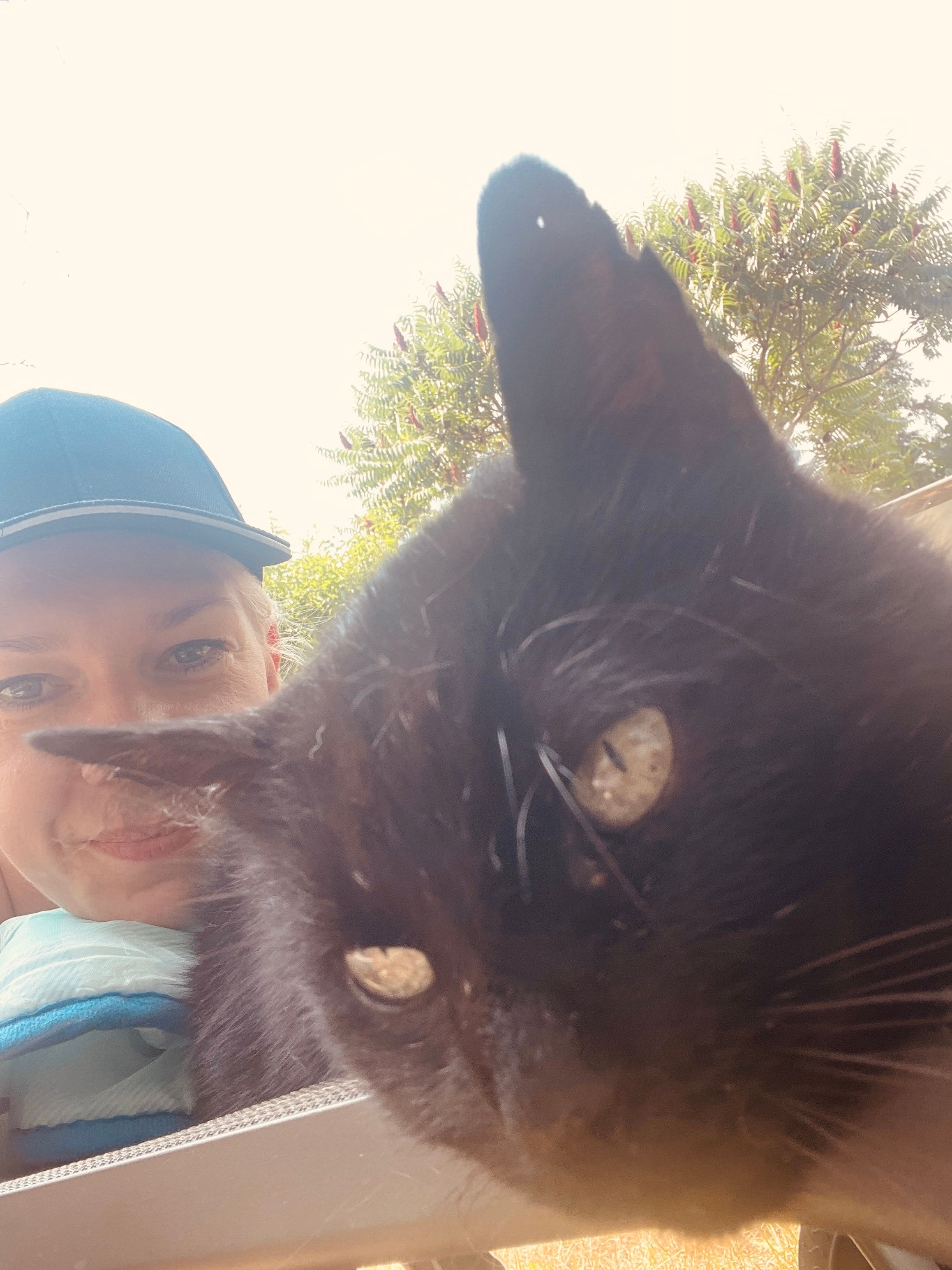 image-11