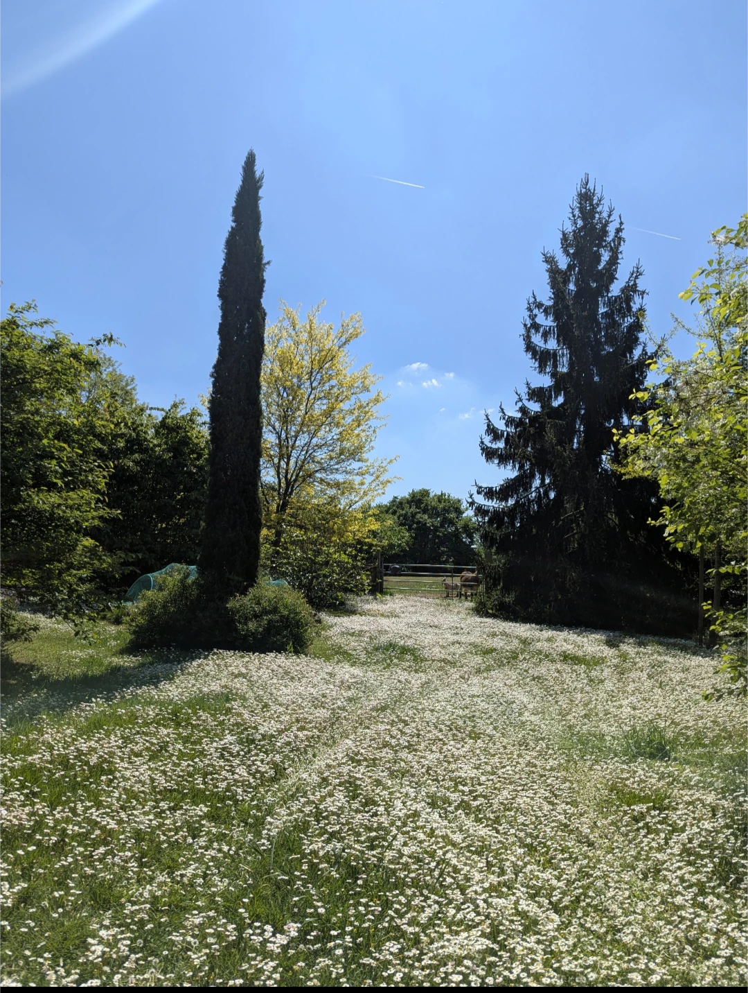 image-17