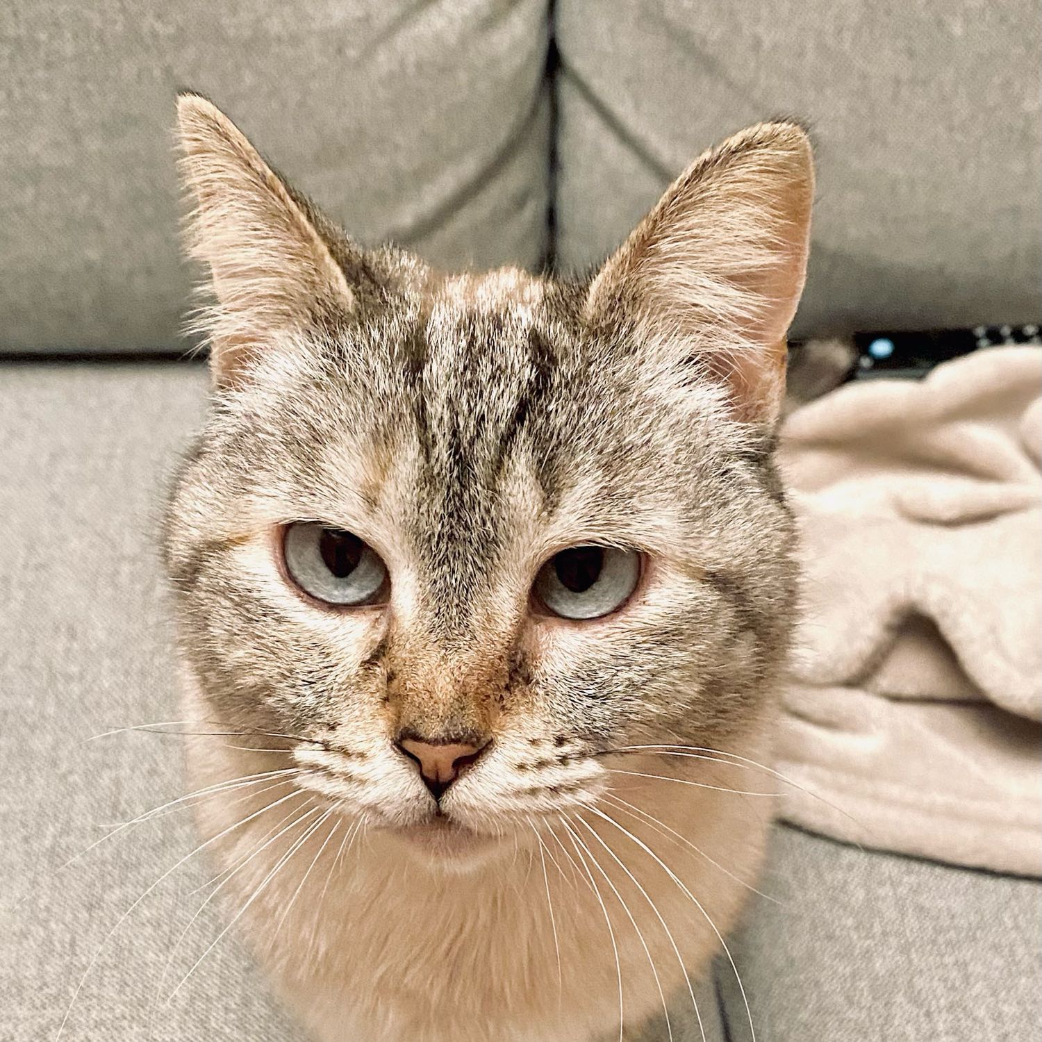 Coco 