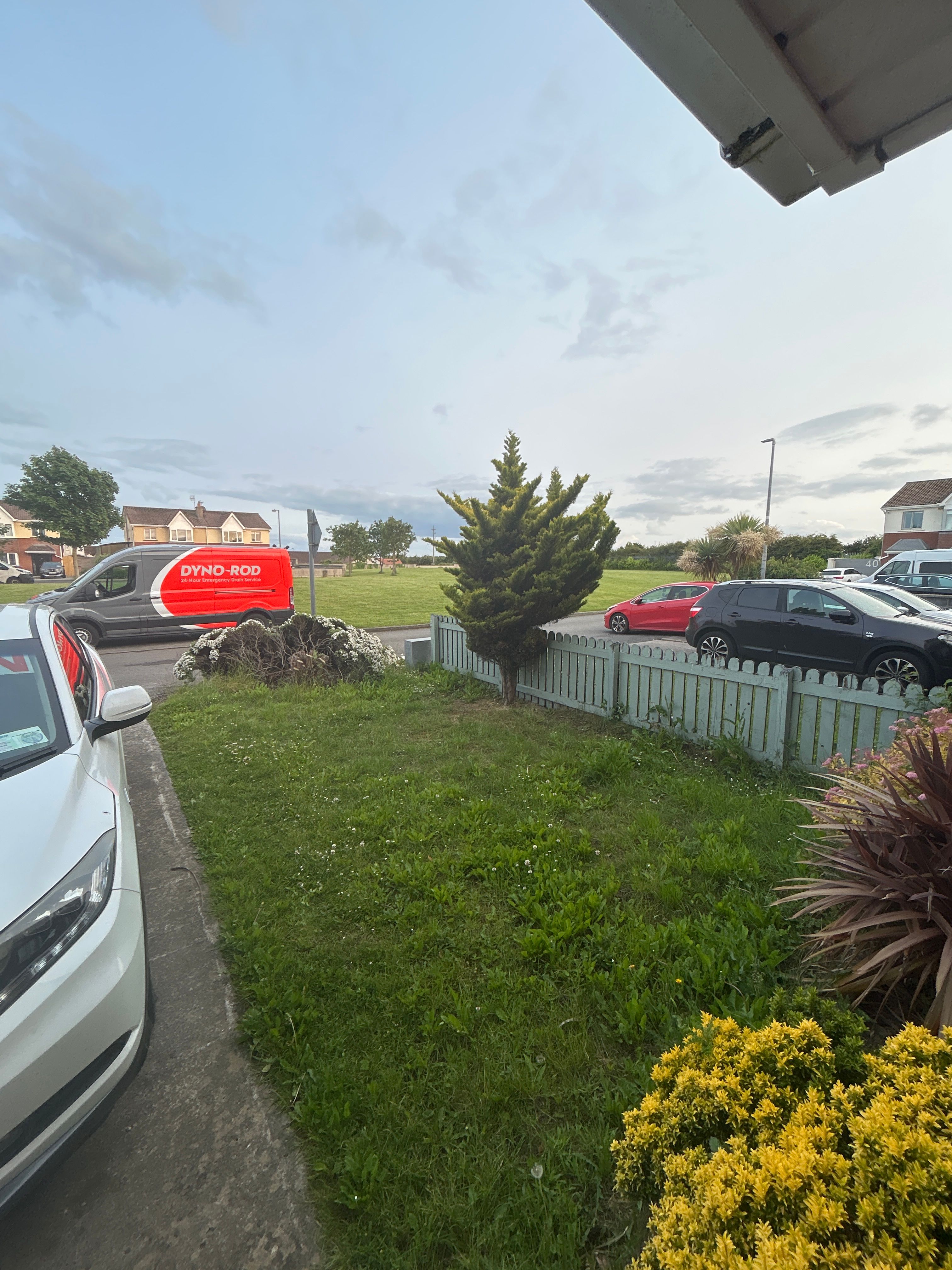 image-19