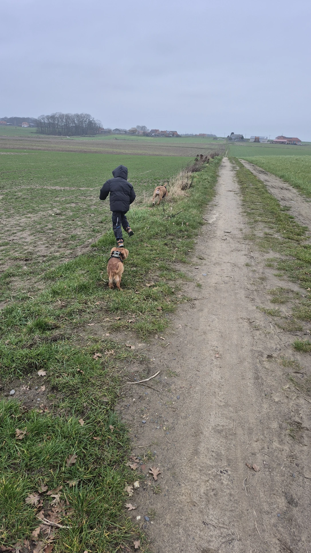 image-4