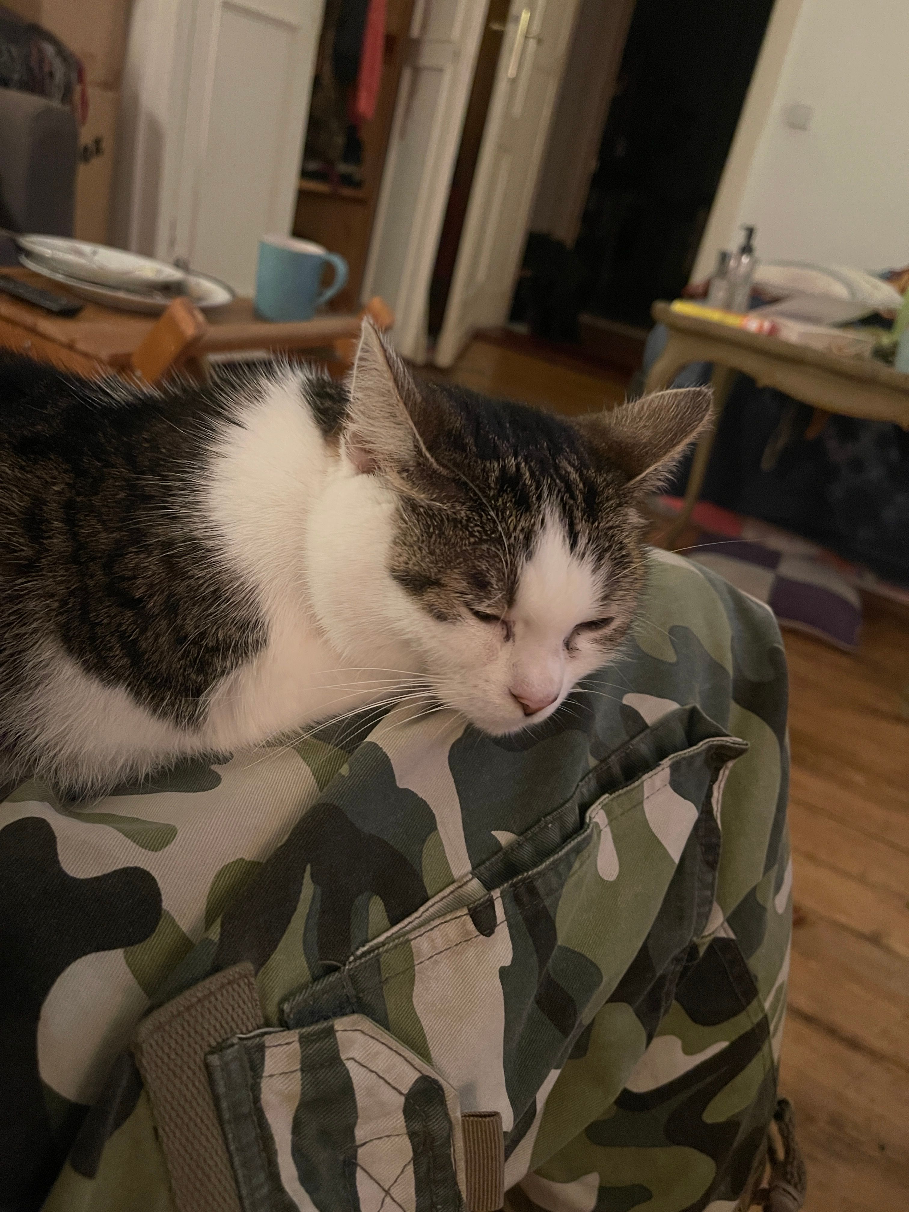 image-11