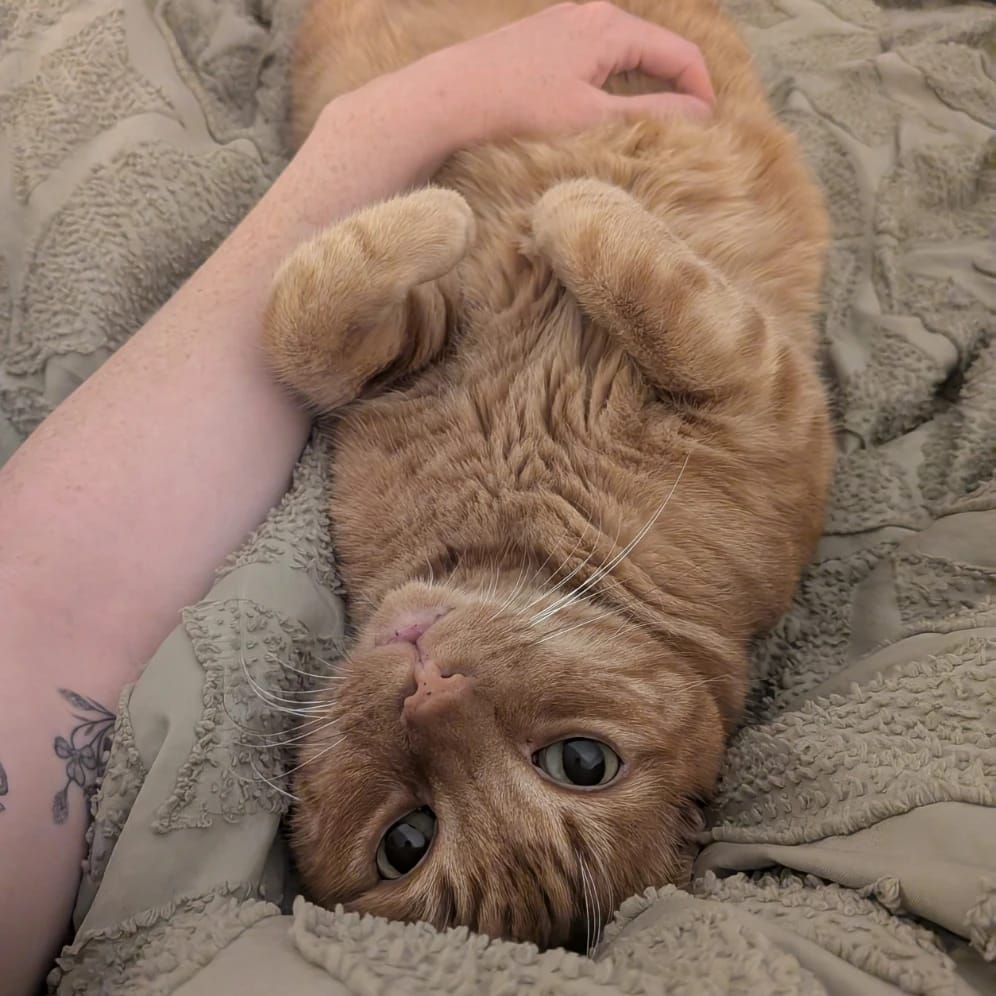 Huey