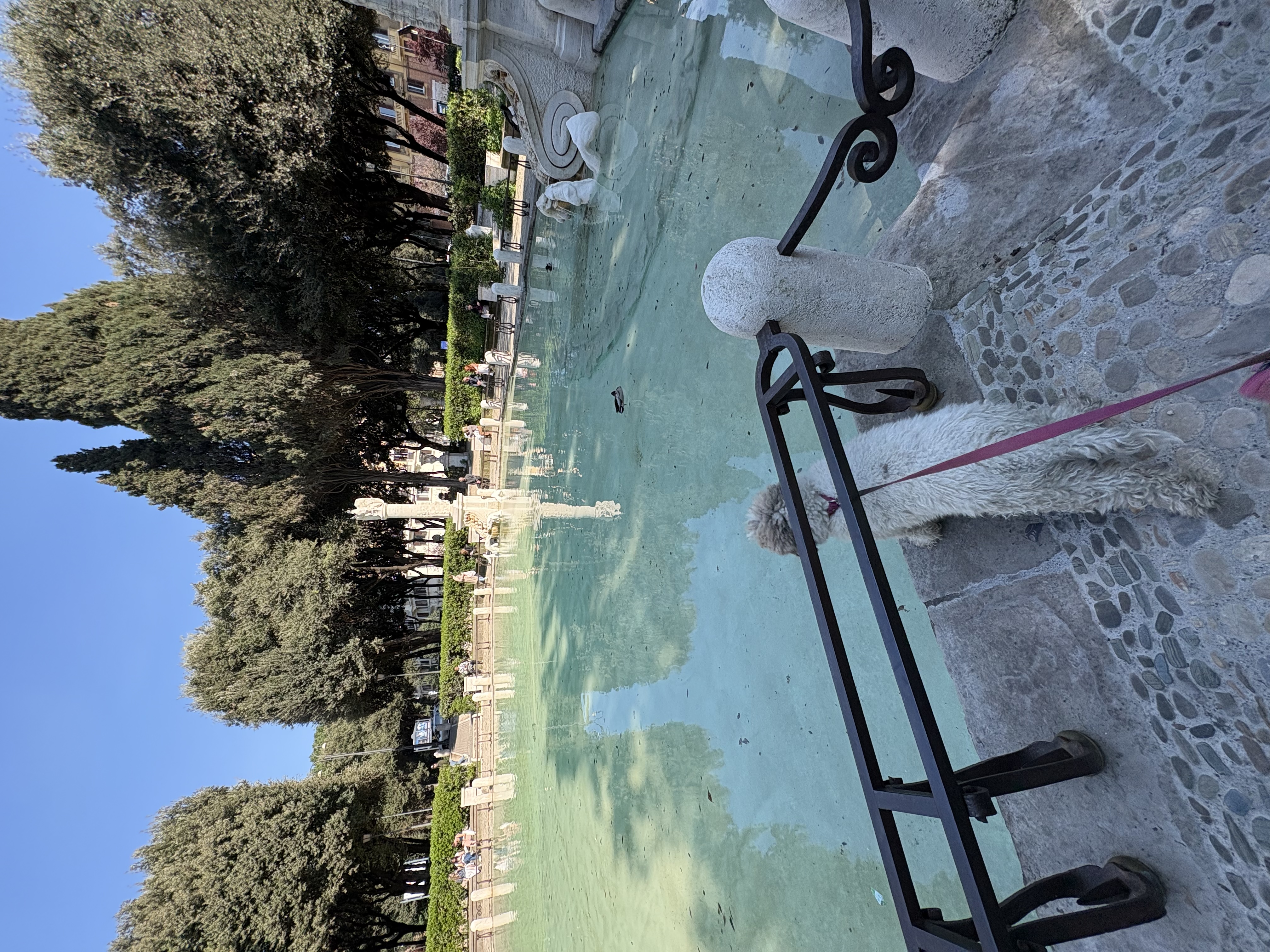 image-8