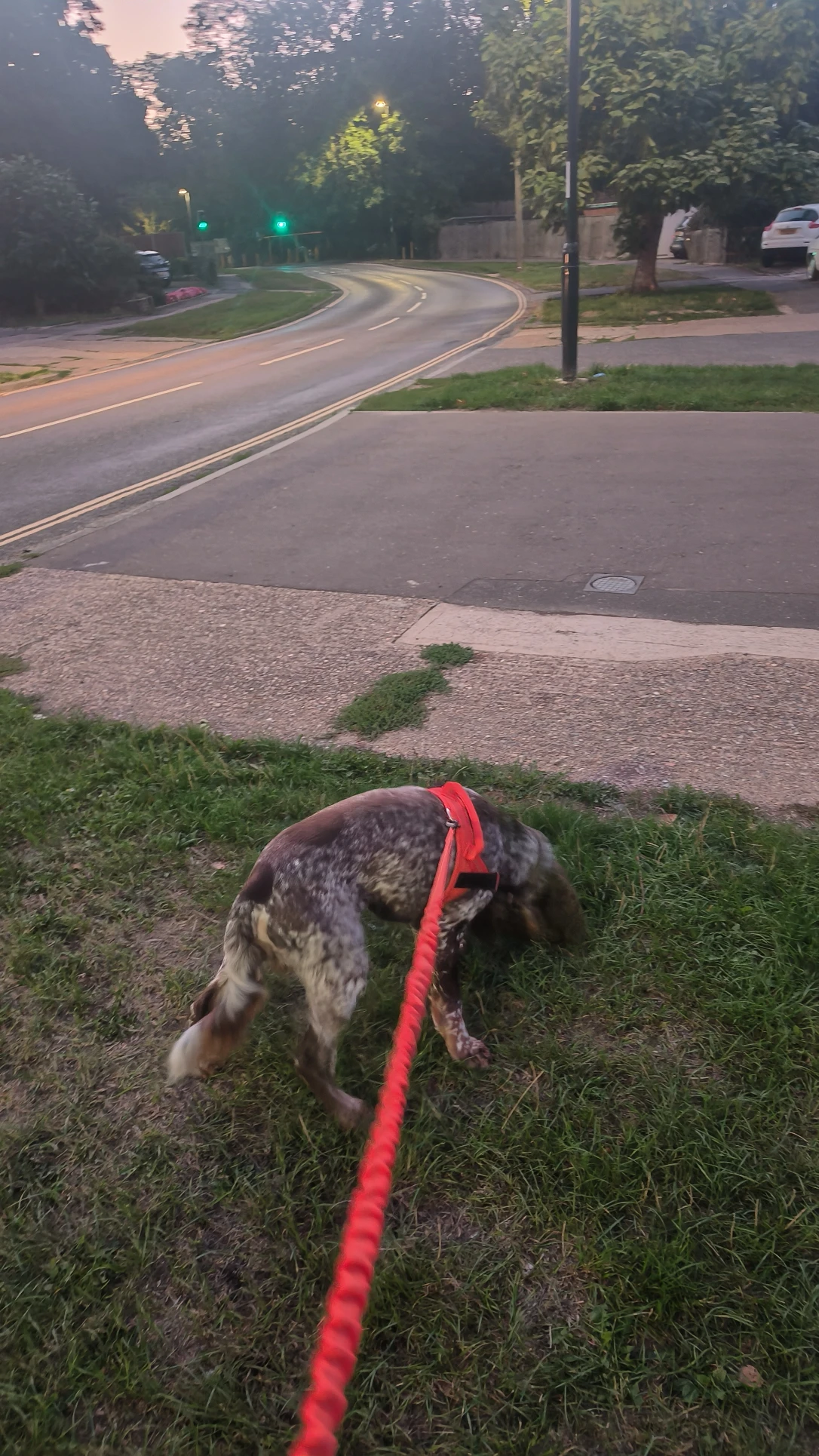 image-14