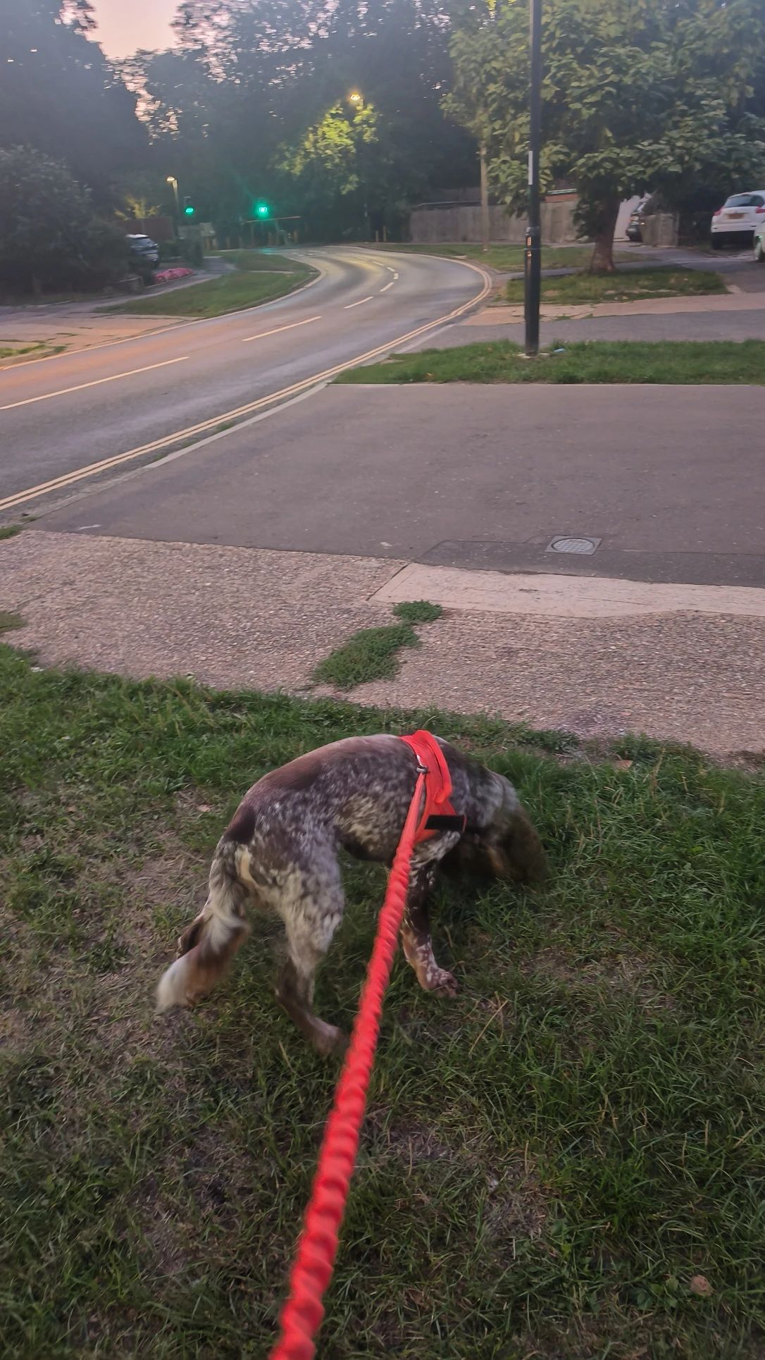 image-14