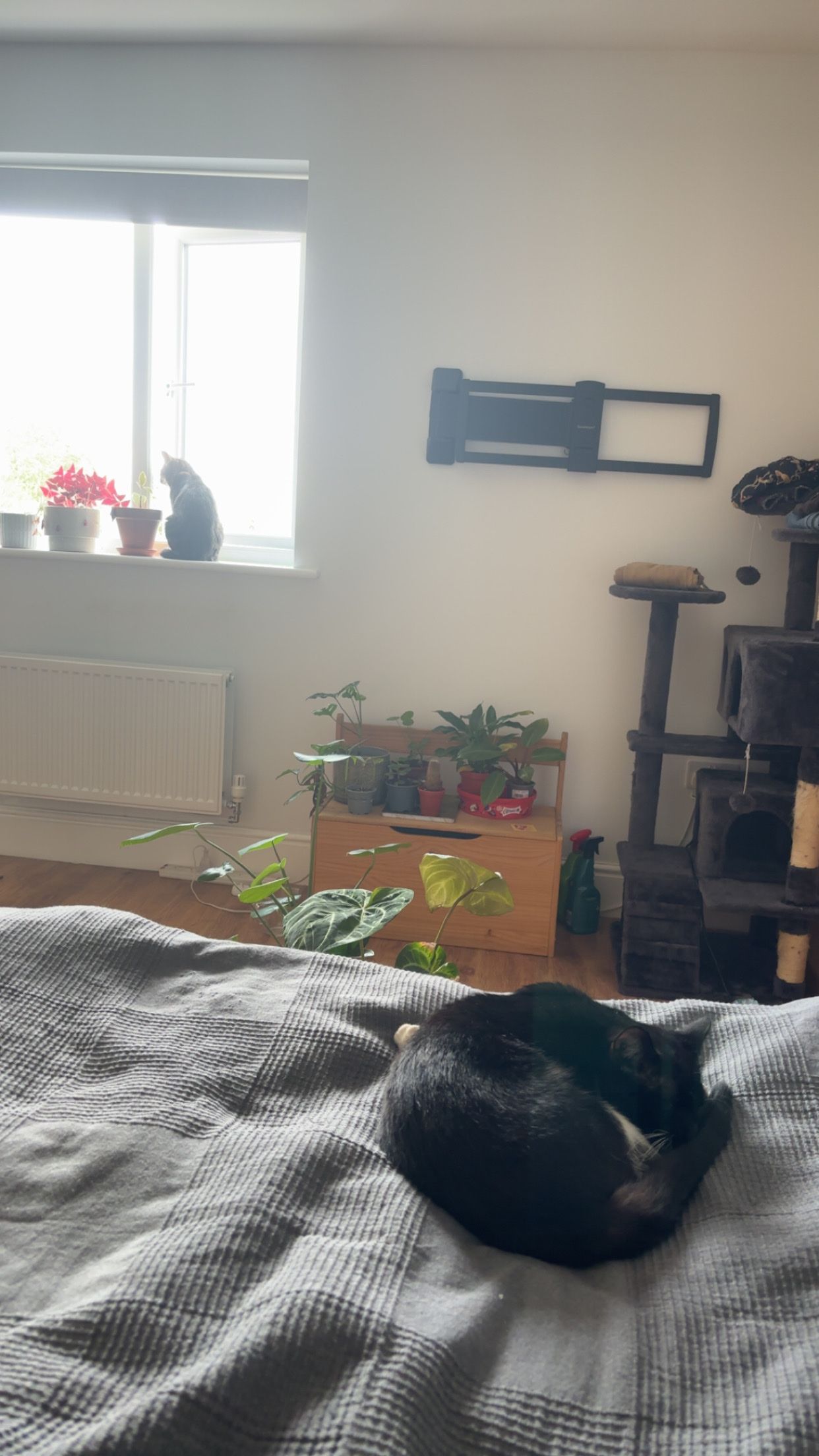 image-17