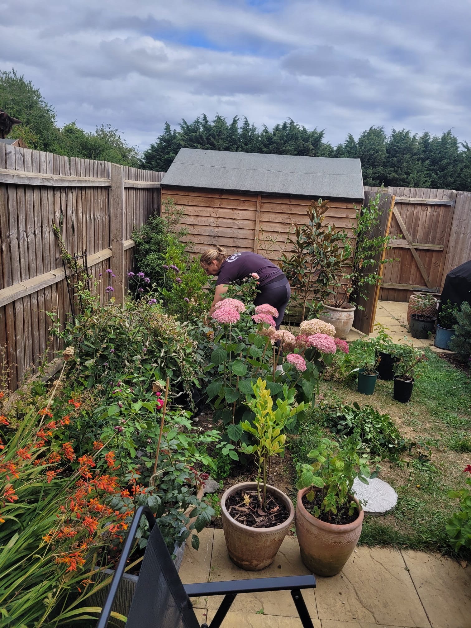 image-16