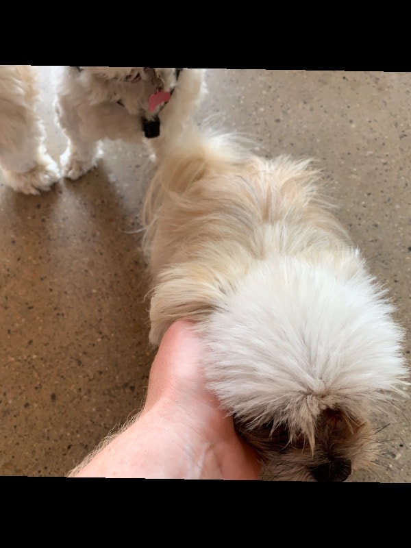 image-5