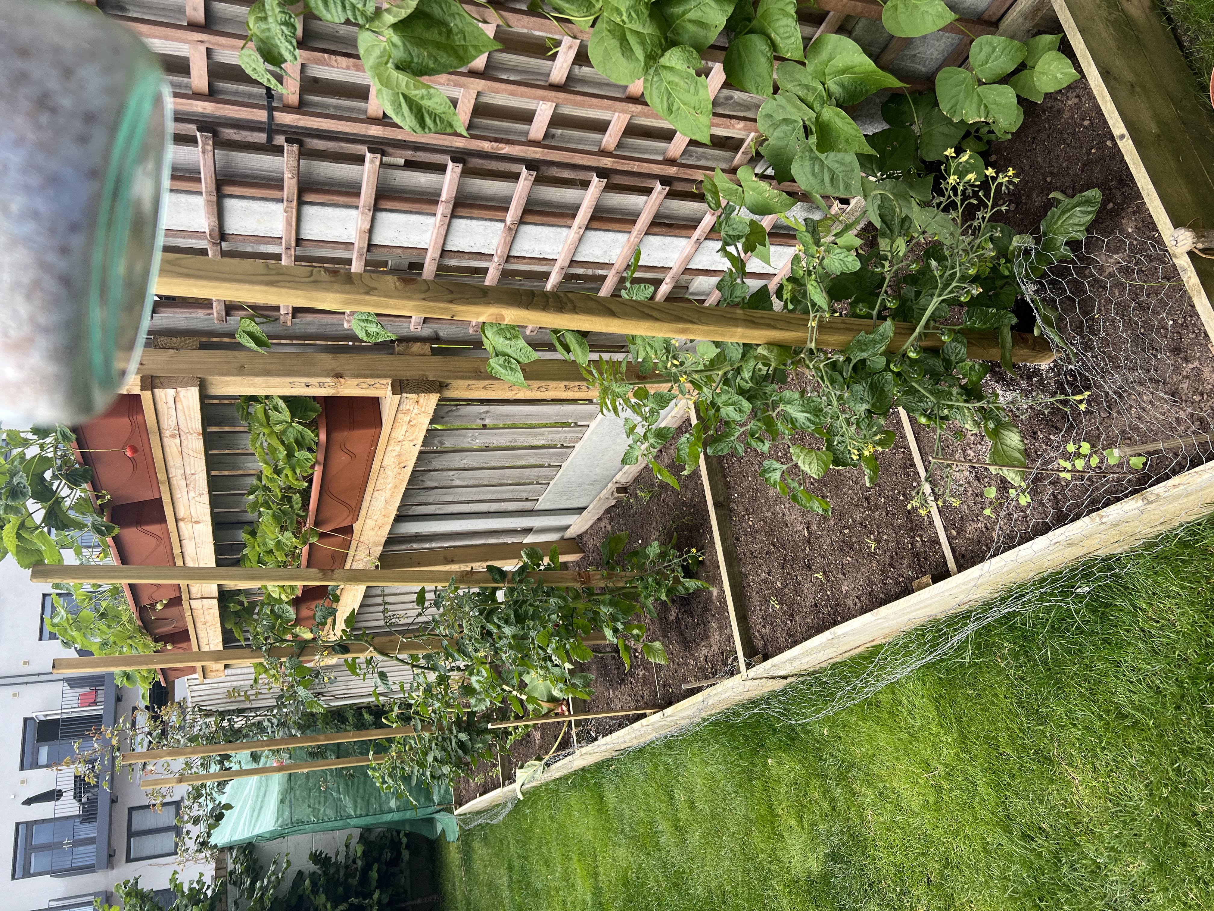 image-15
