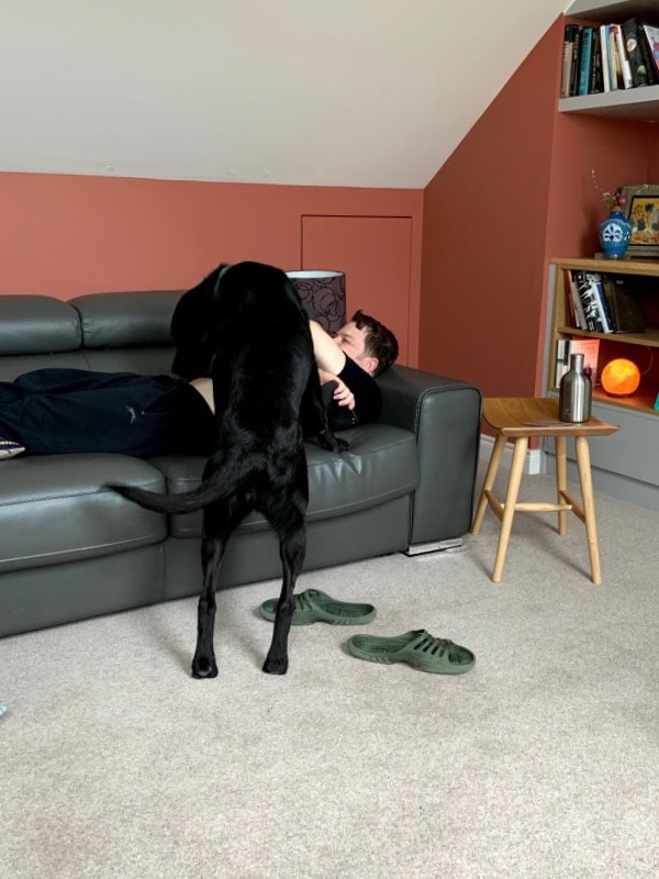 image-7