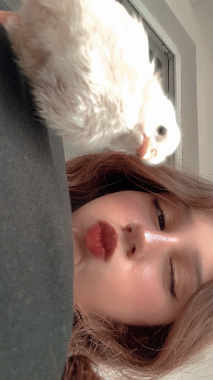 image-6