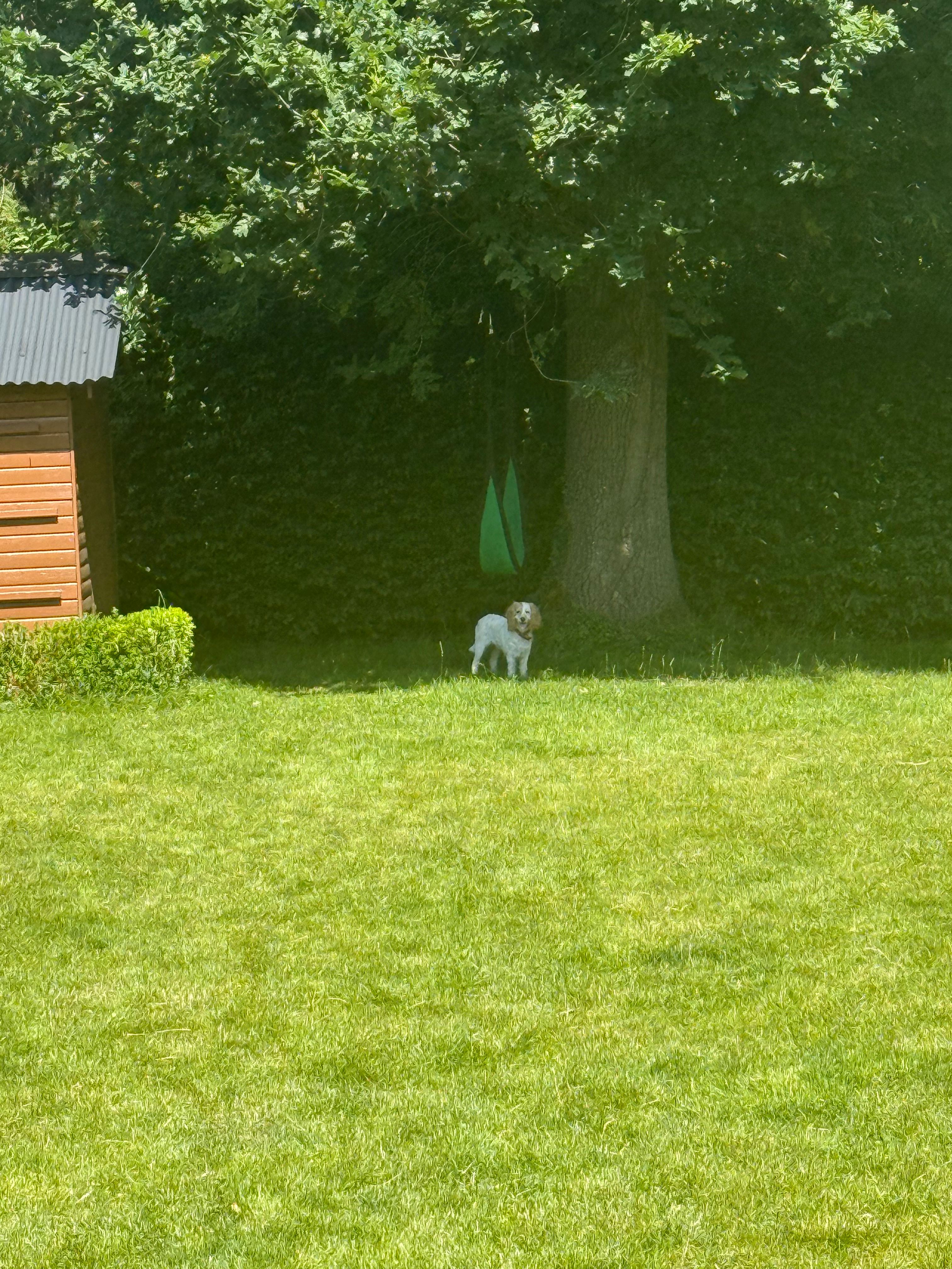image-22