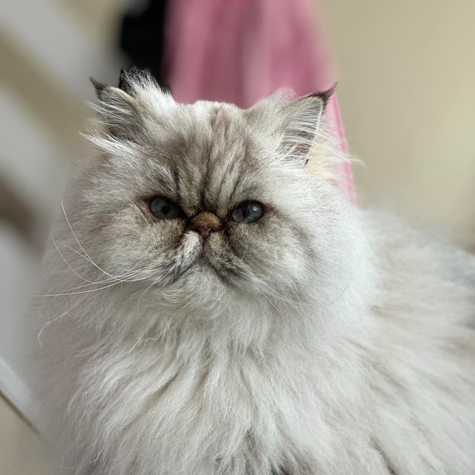 Luna