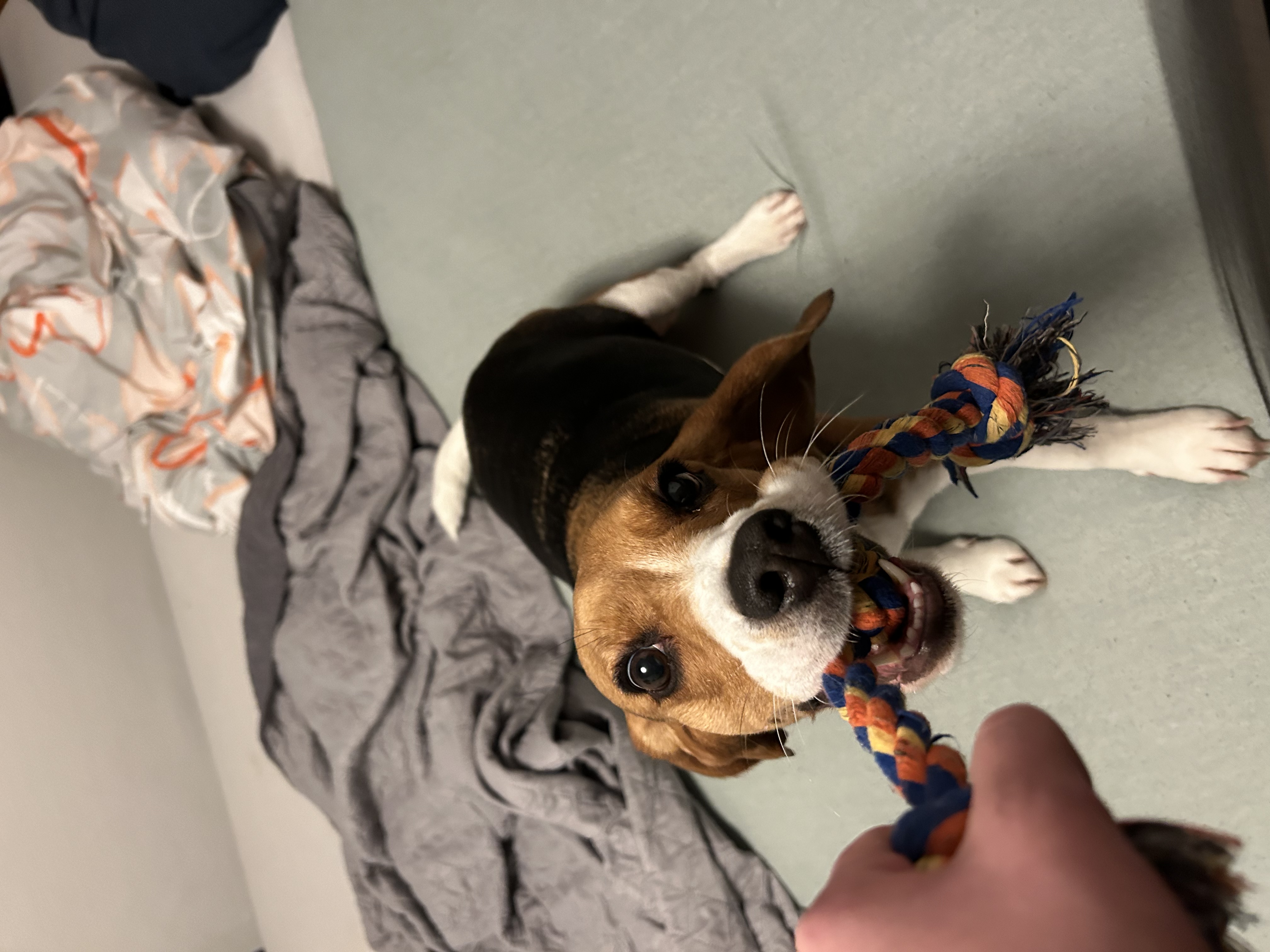image-6