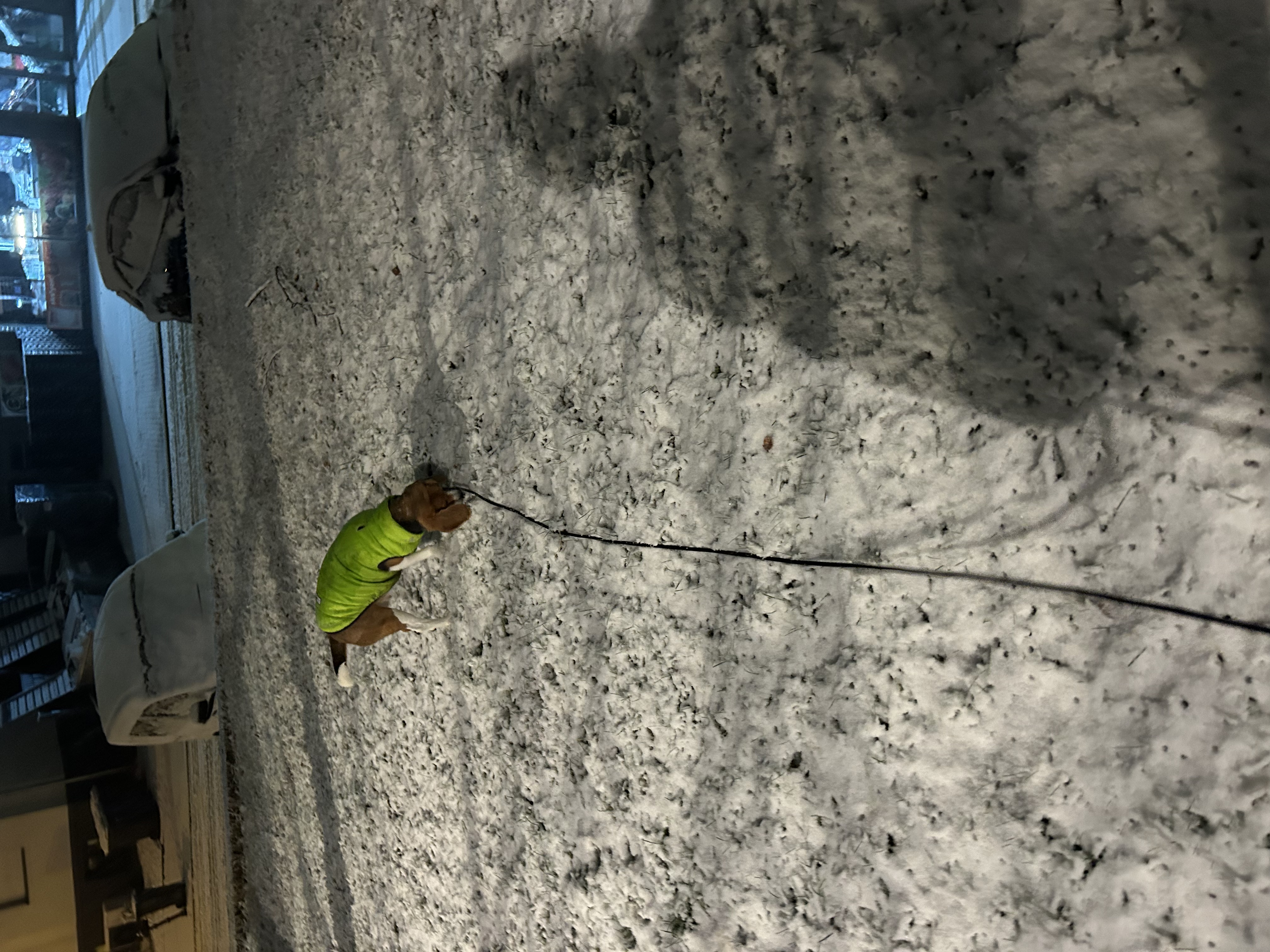 image-7