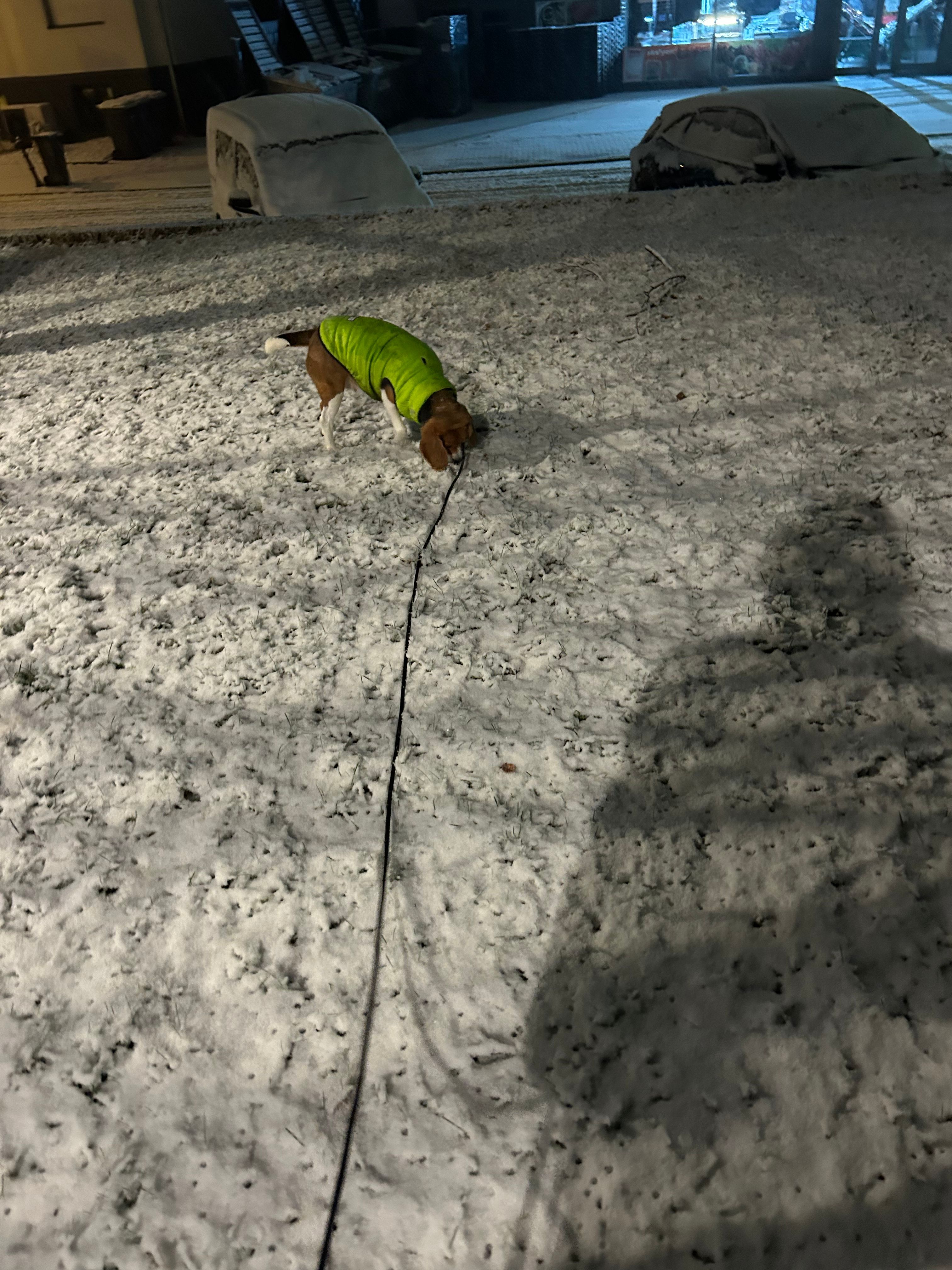 image-7