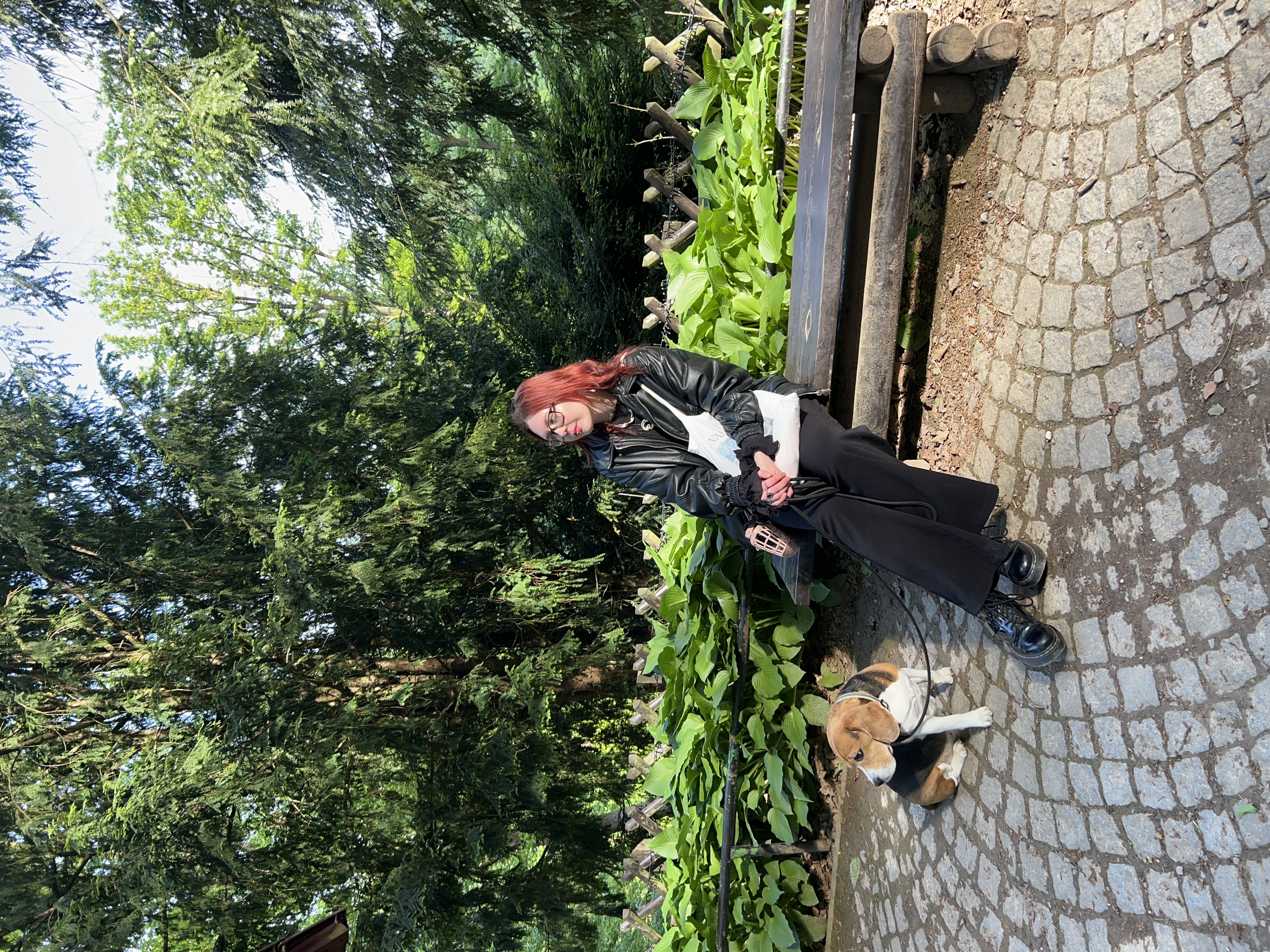 image-2
