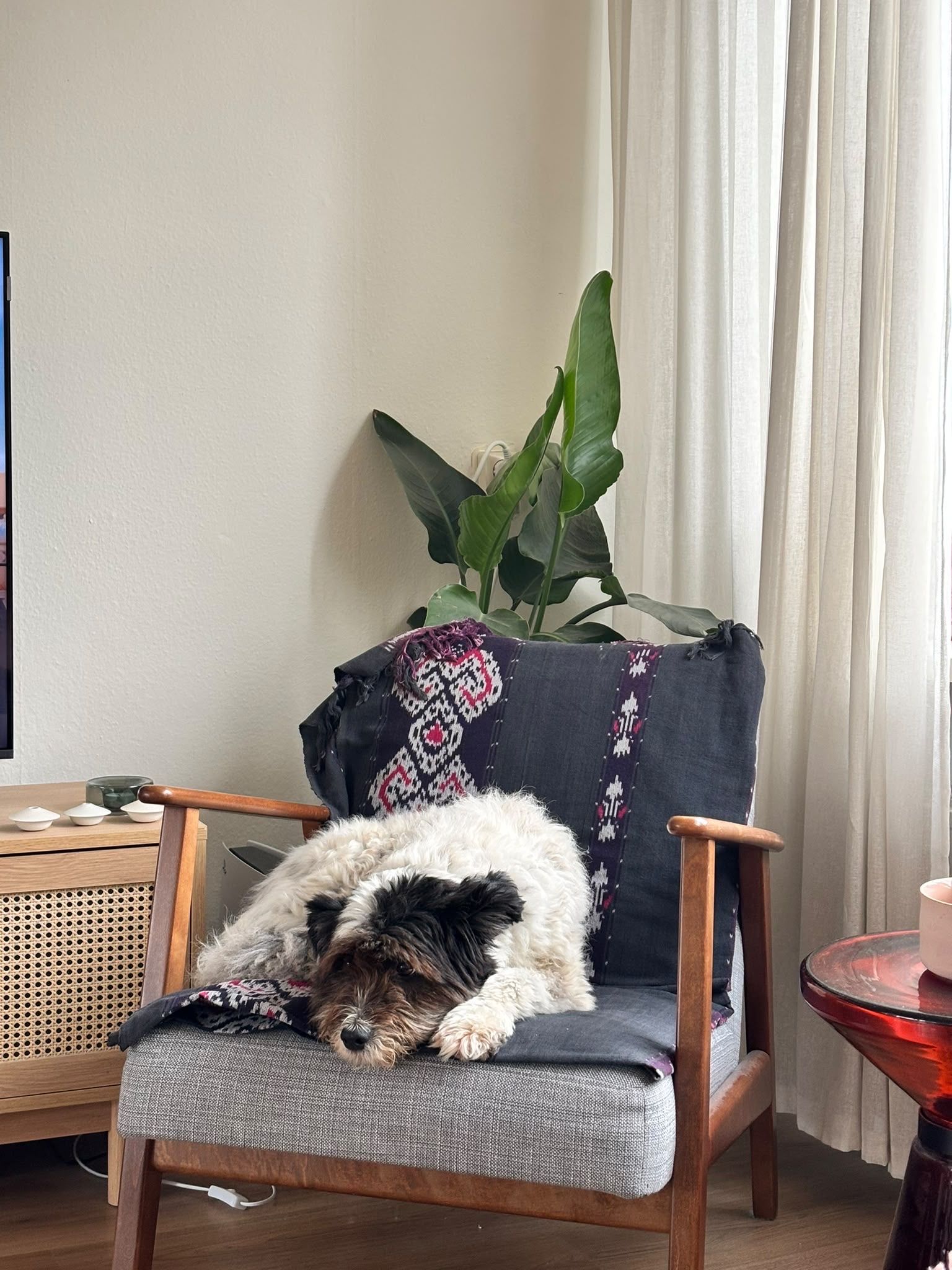 image-2