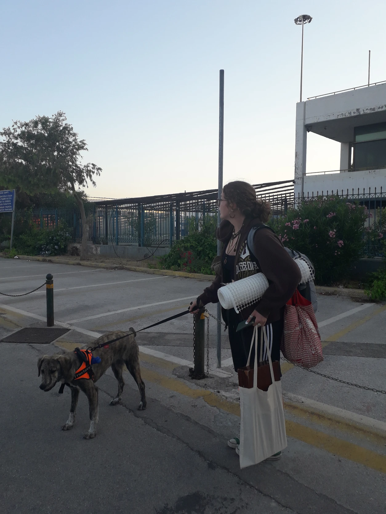 image-9