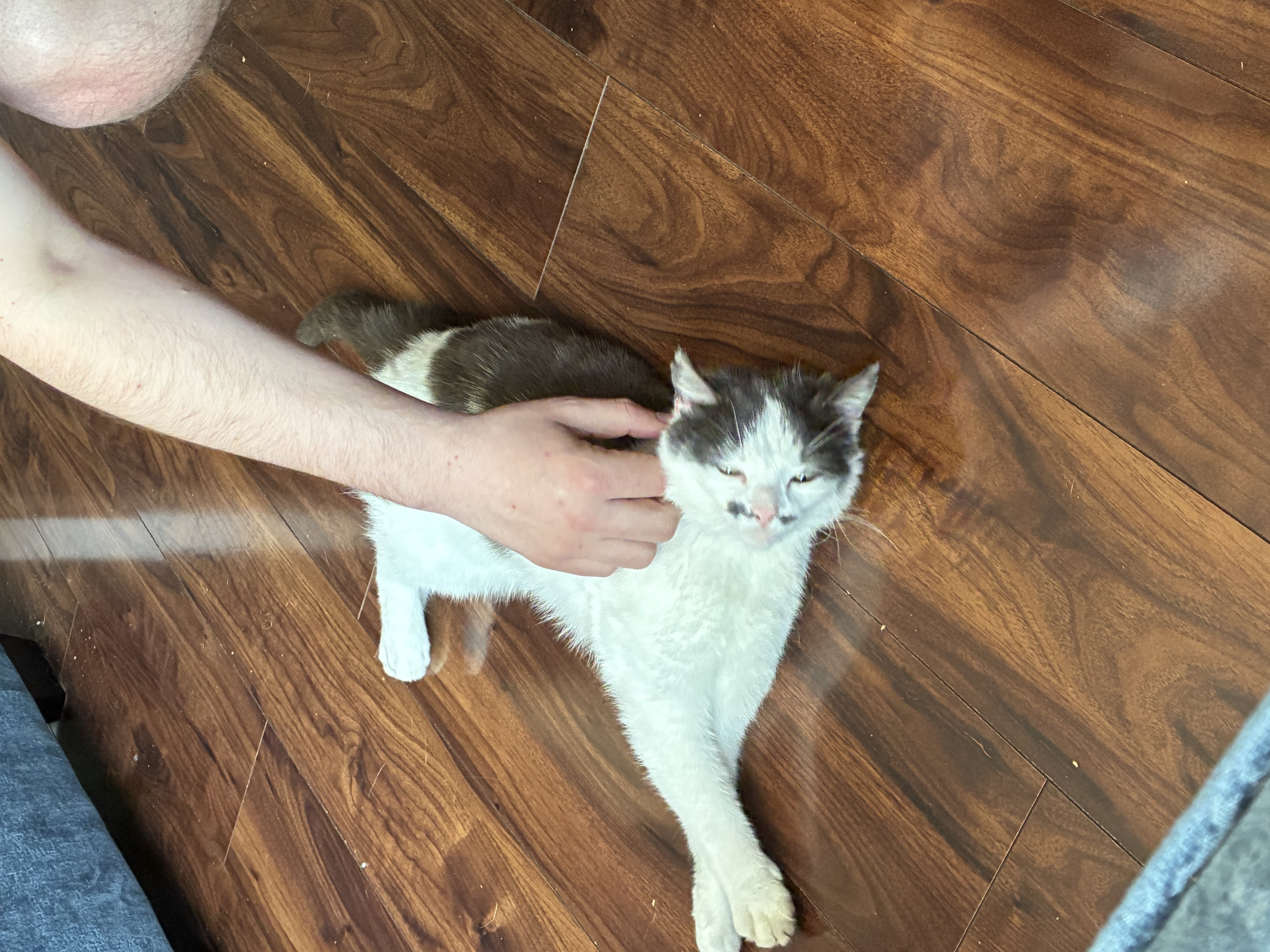 image-7
