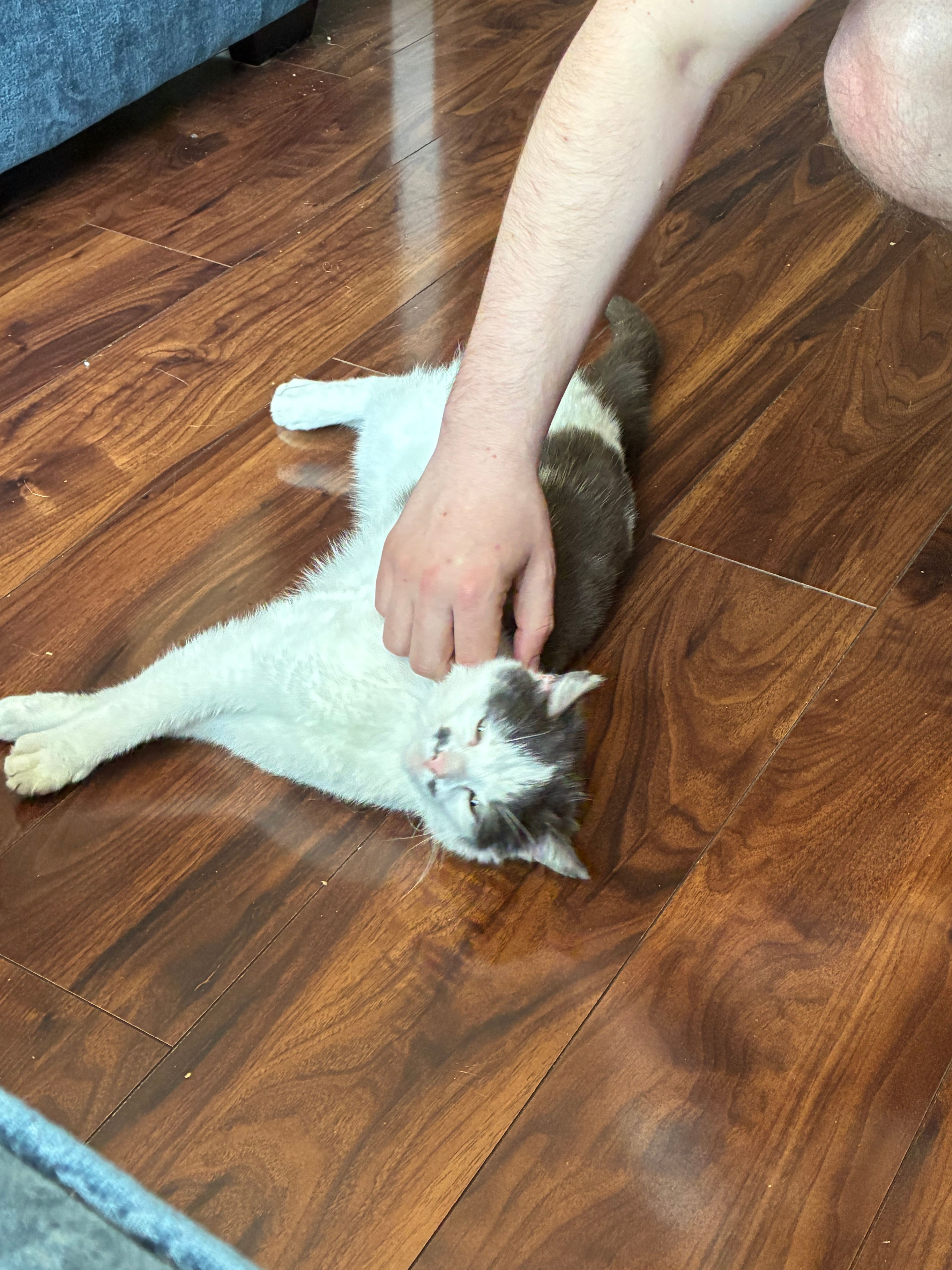 image-7