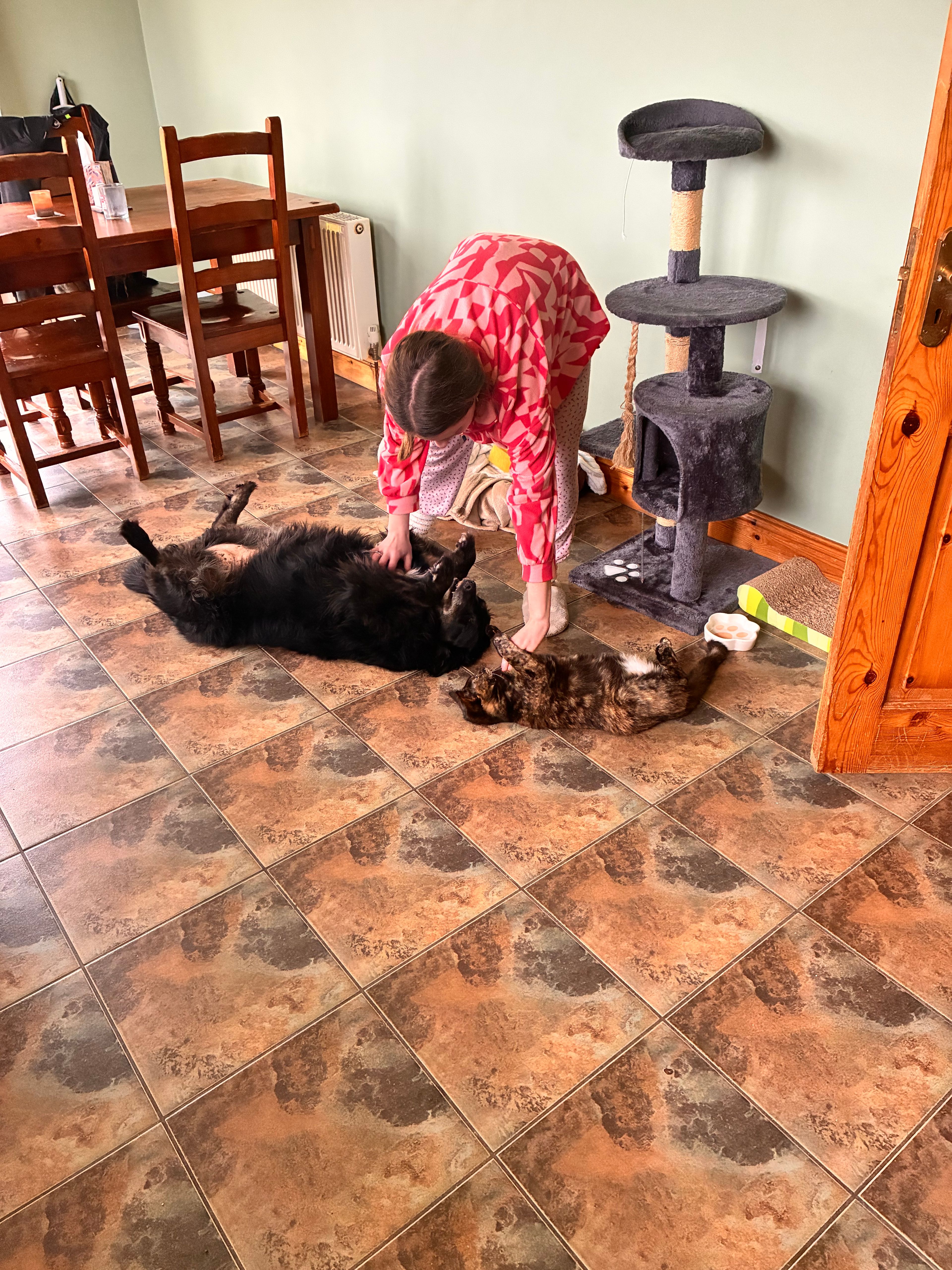 image-5