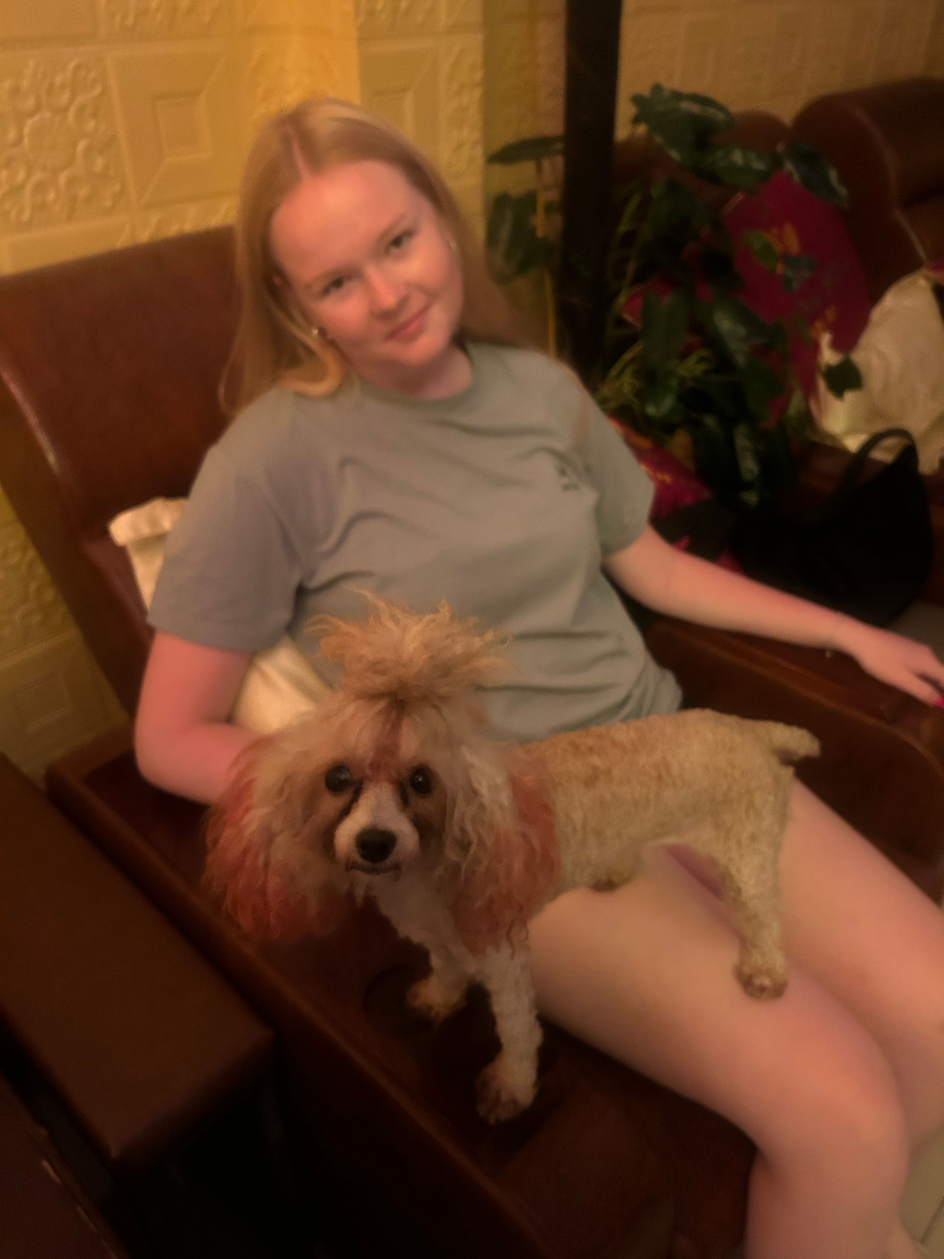 image-6
