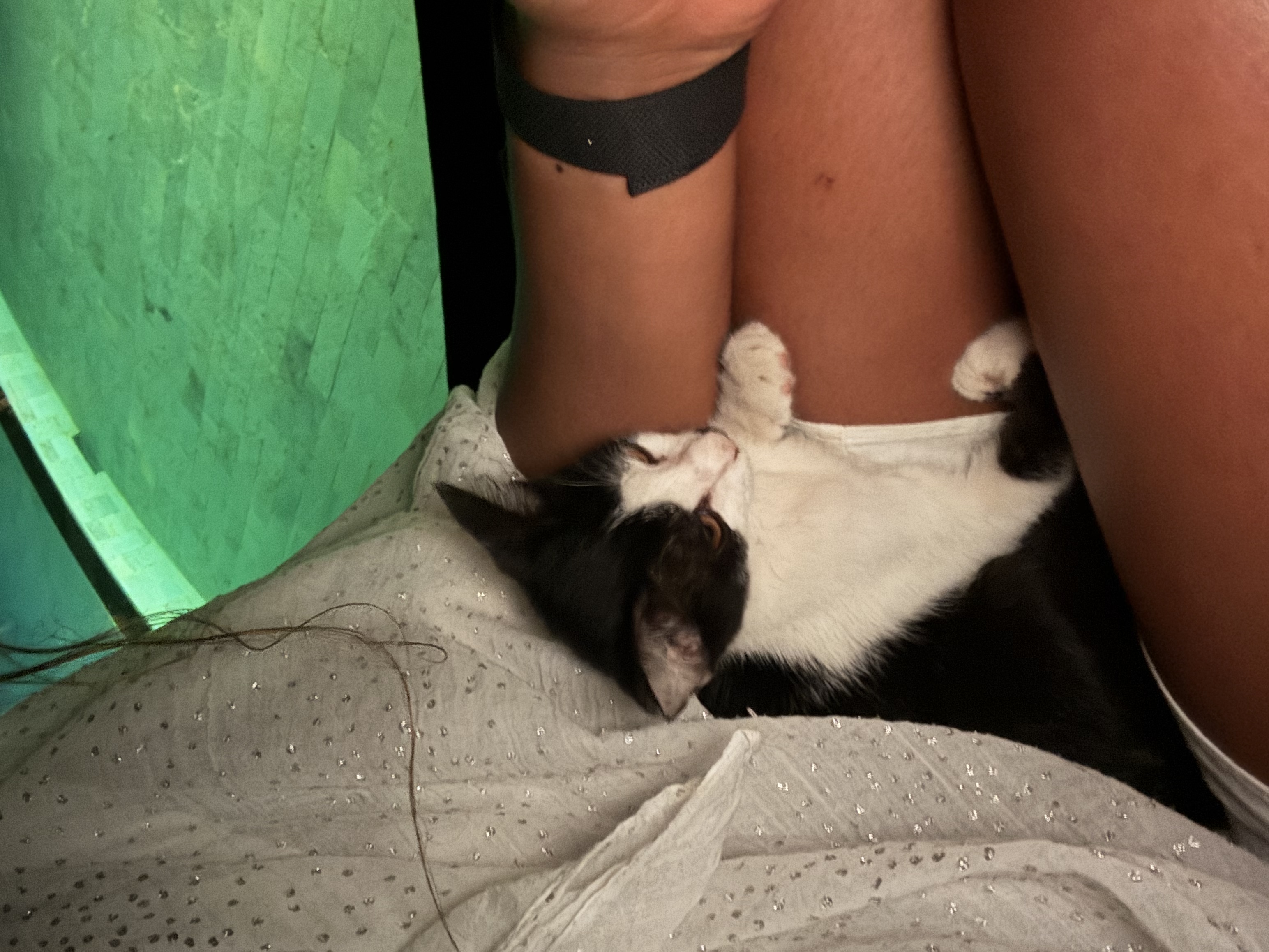 image-8