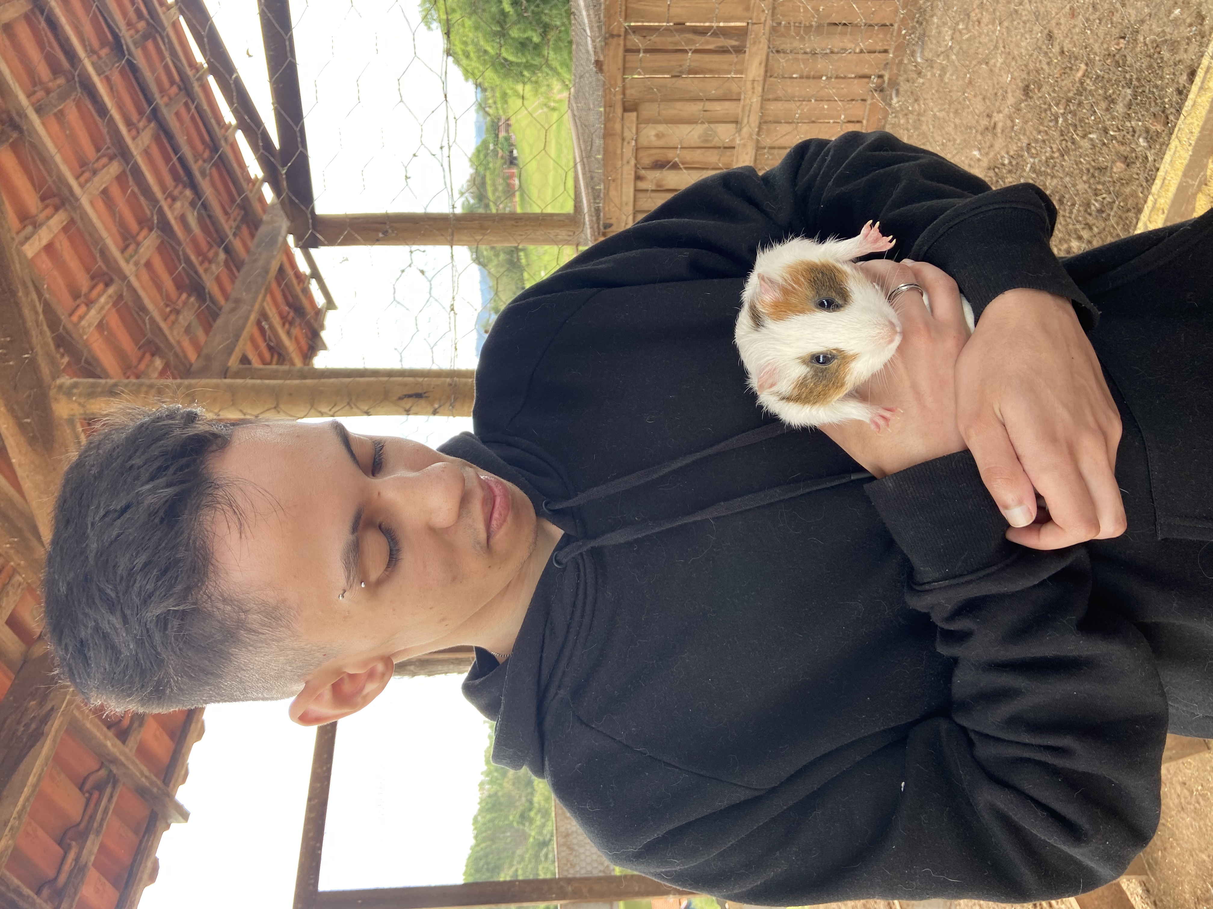 image-7